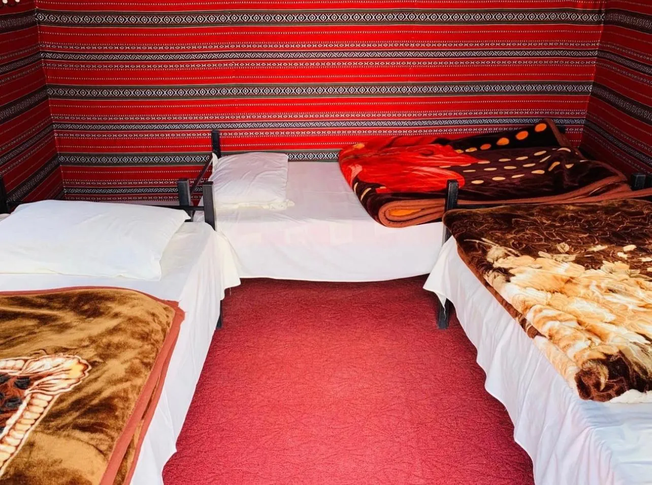 Tent in Wadi Rum Moon Light