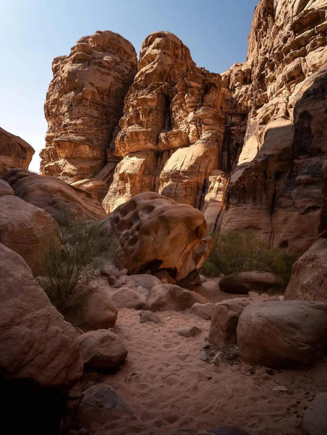 Wadi Rum Moon Light