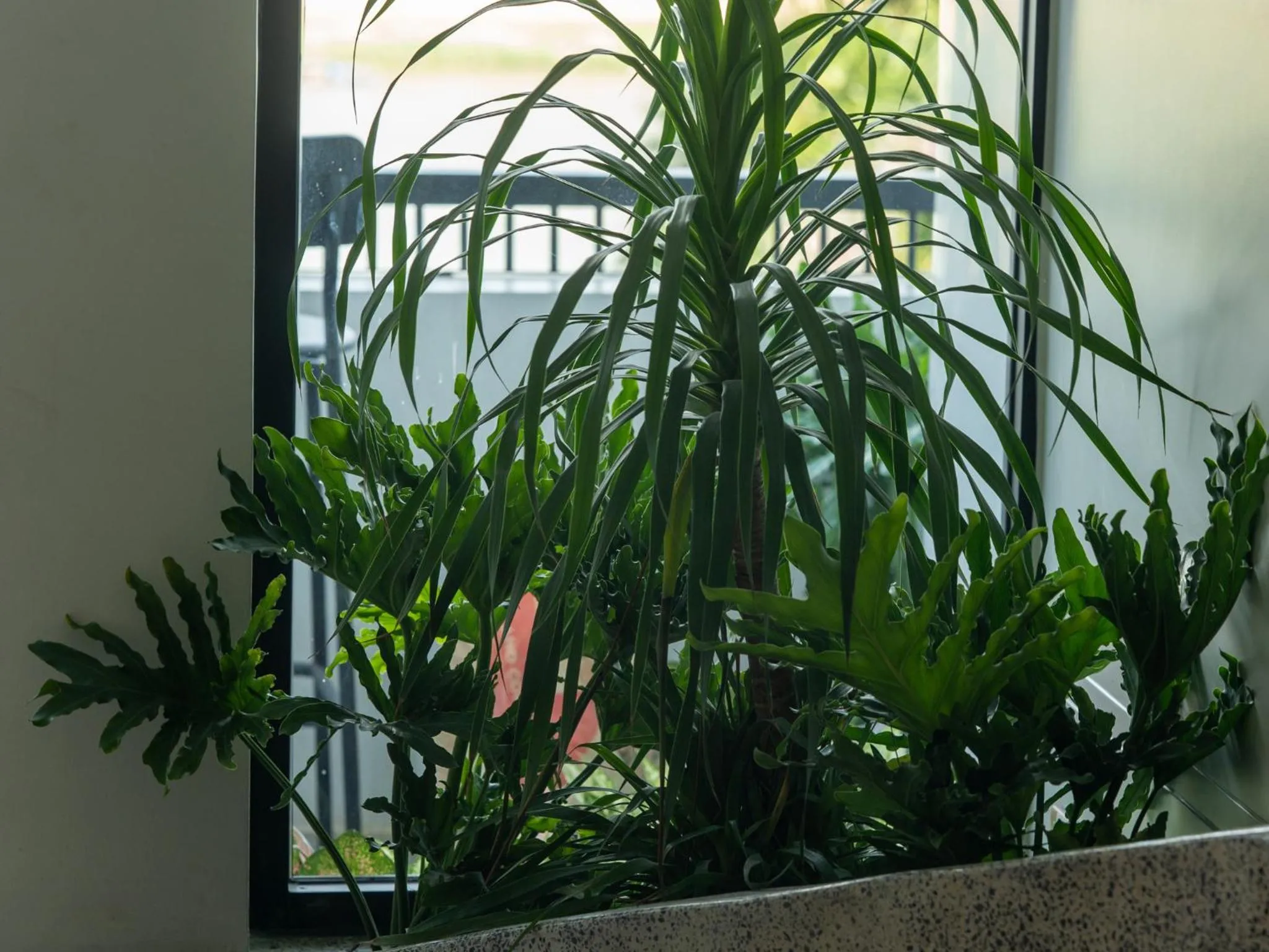 Garden in SEENERGY STAY Riverside