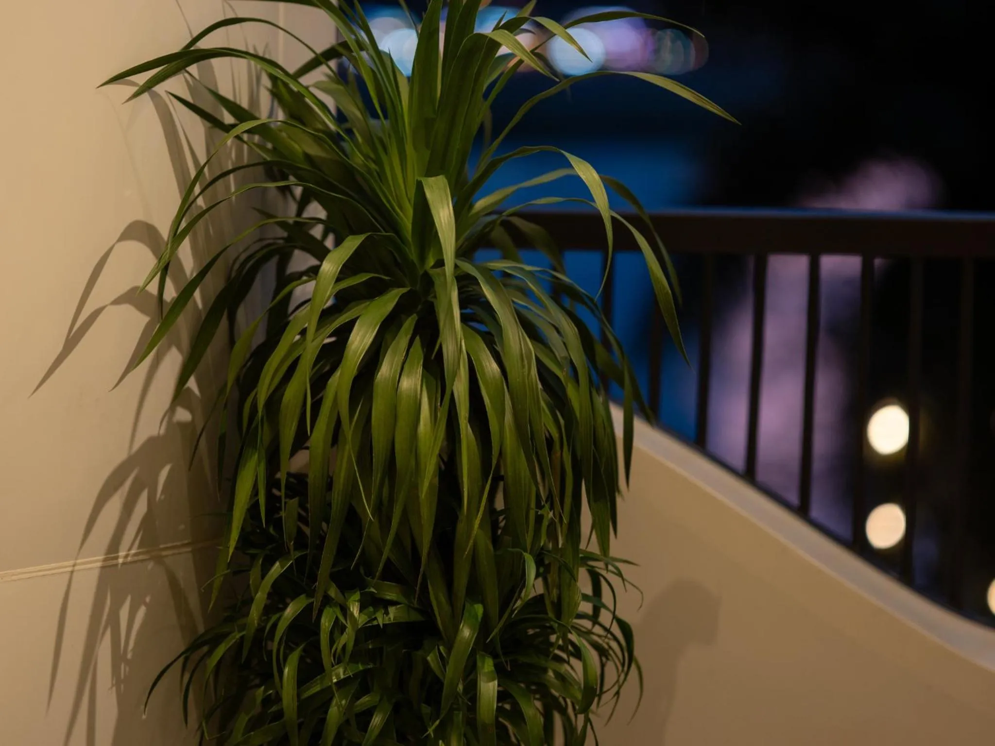 Balcony/Terrace in SEENERGY STAY Riverside