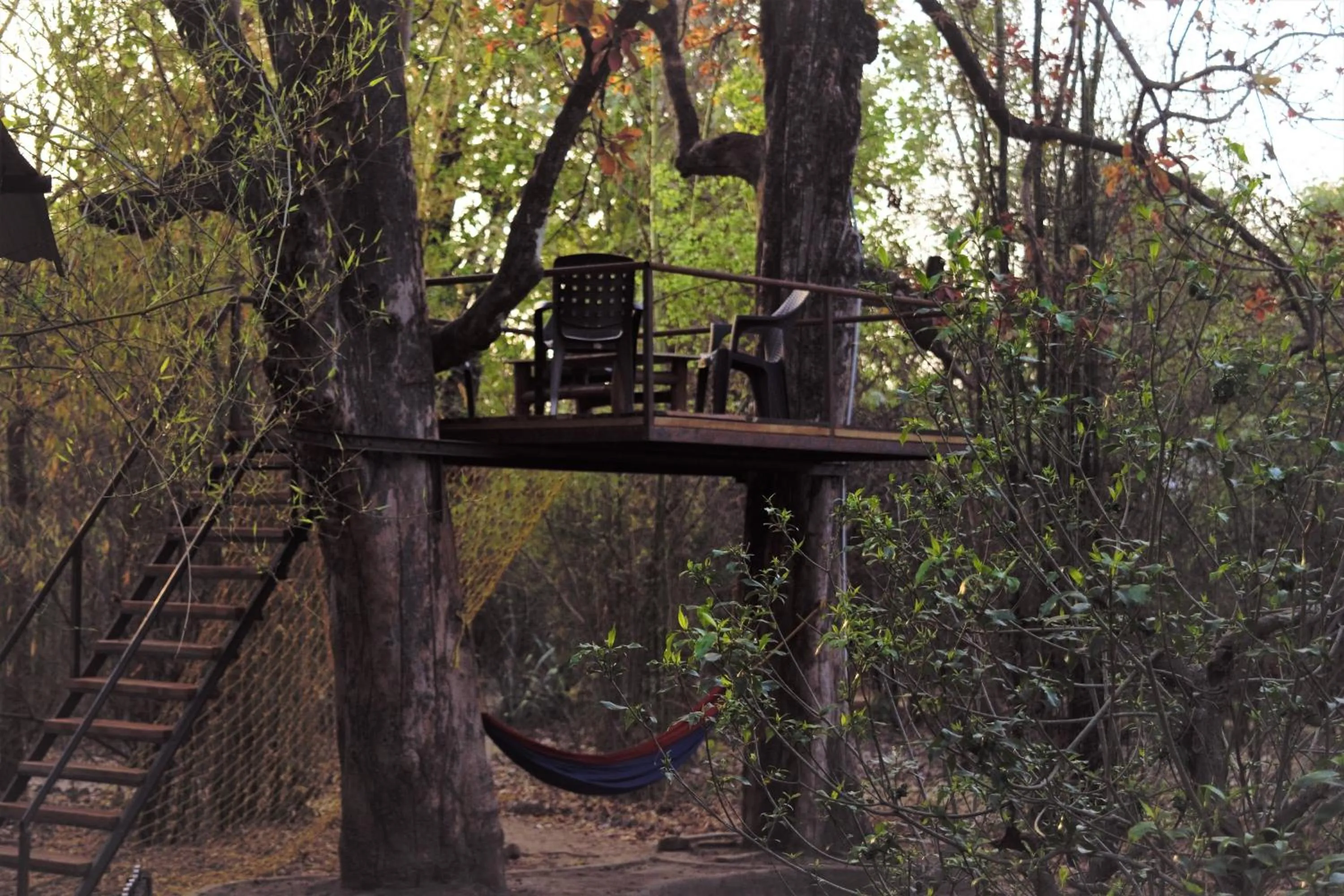 Balcony/Terrace in Tiger N Woods Resort