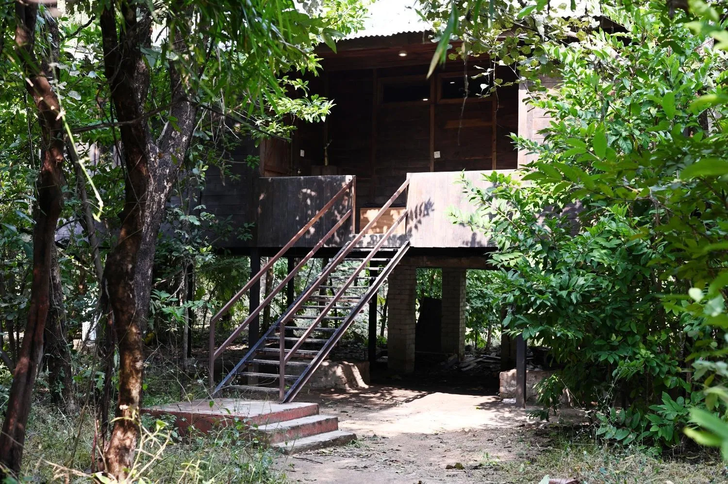 Photo of the whole room in Tiger N Woods Resort