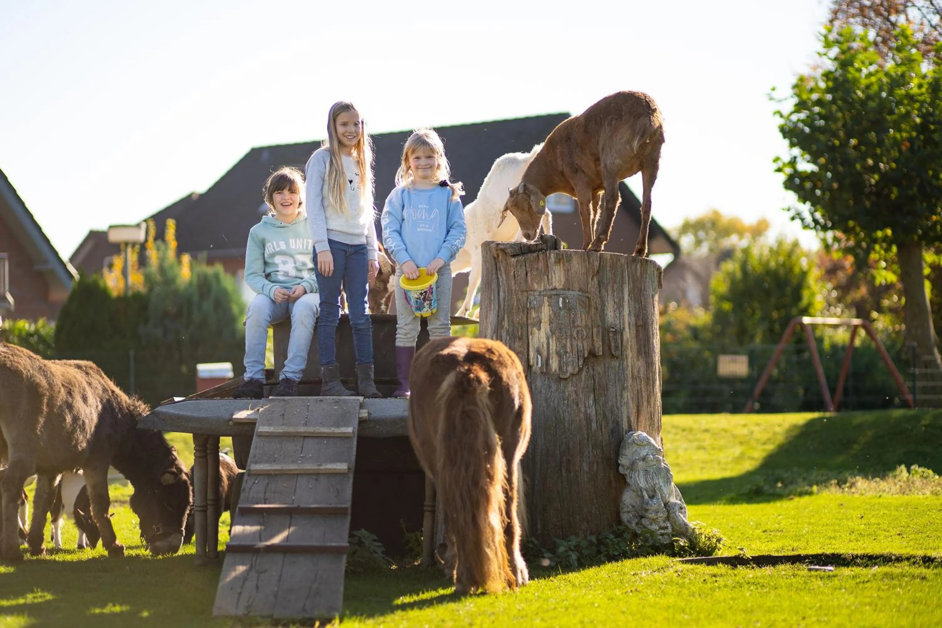 Animals in Landhotel-Restaurant Beckmann