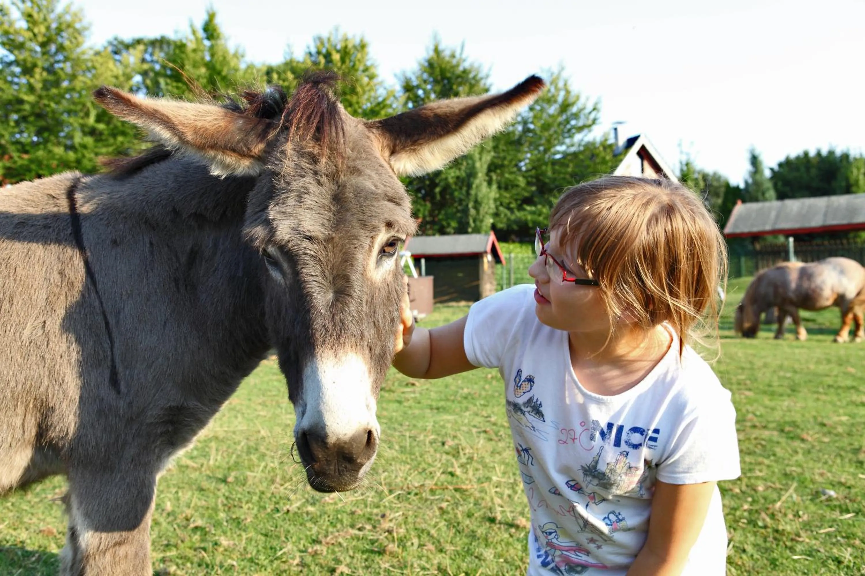 Animals in Landhotel-Restaurant Beckmann