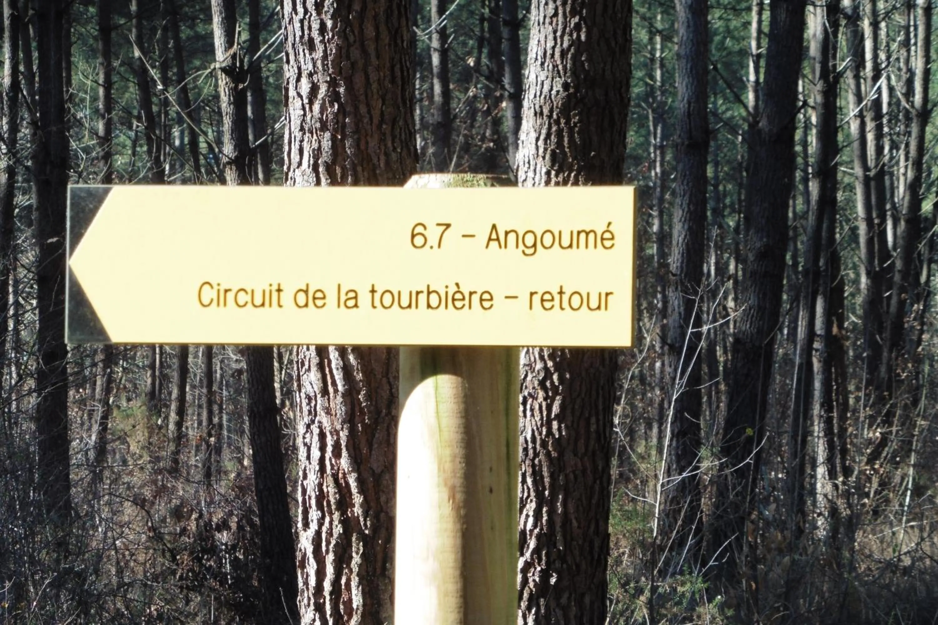 Winter in Domaine Hias