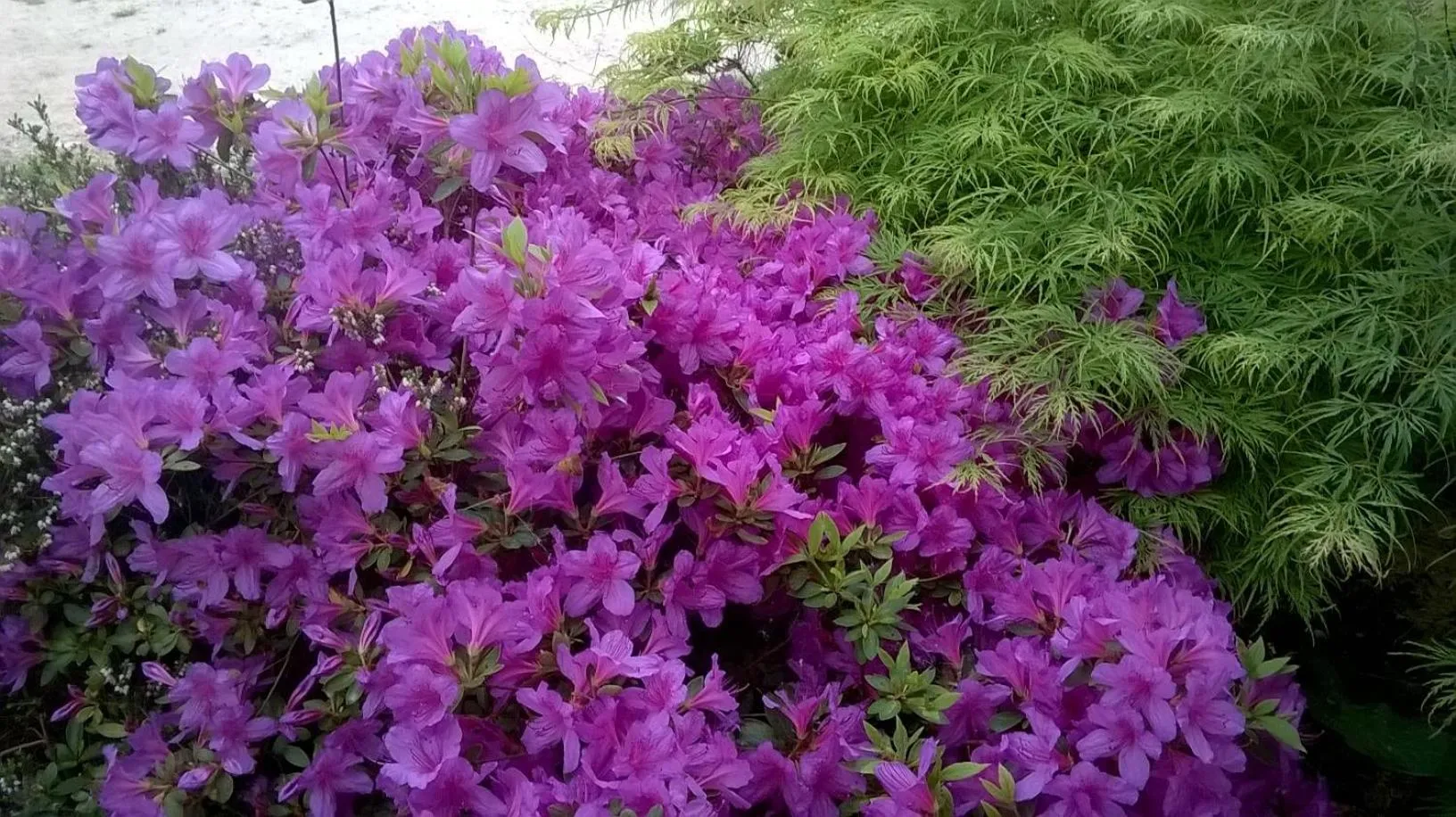 Staff in Domaine Hias