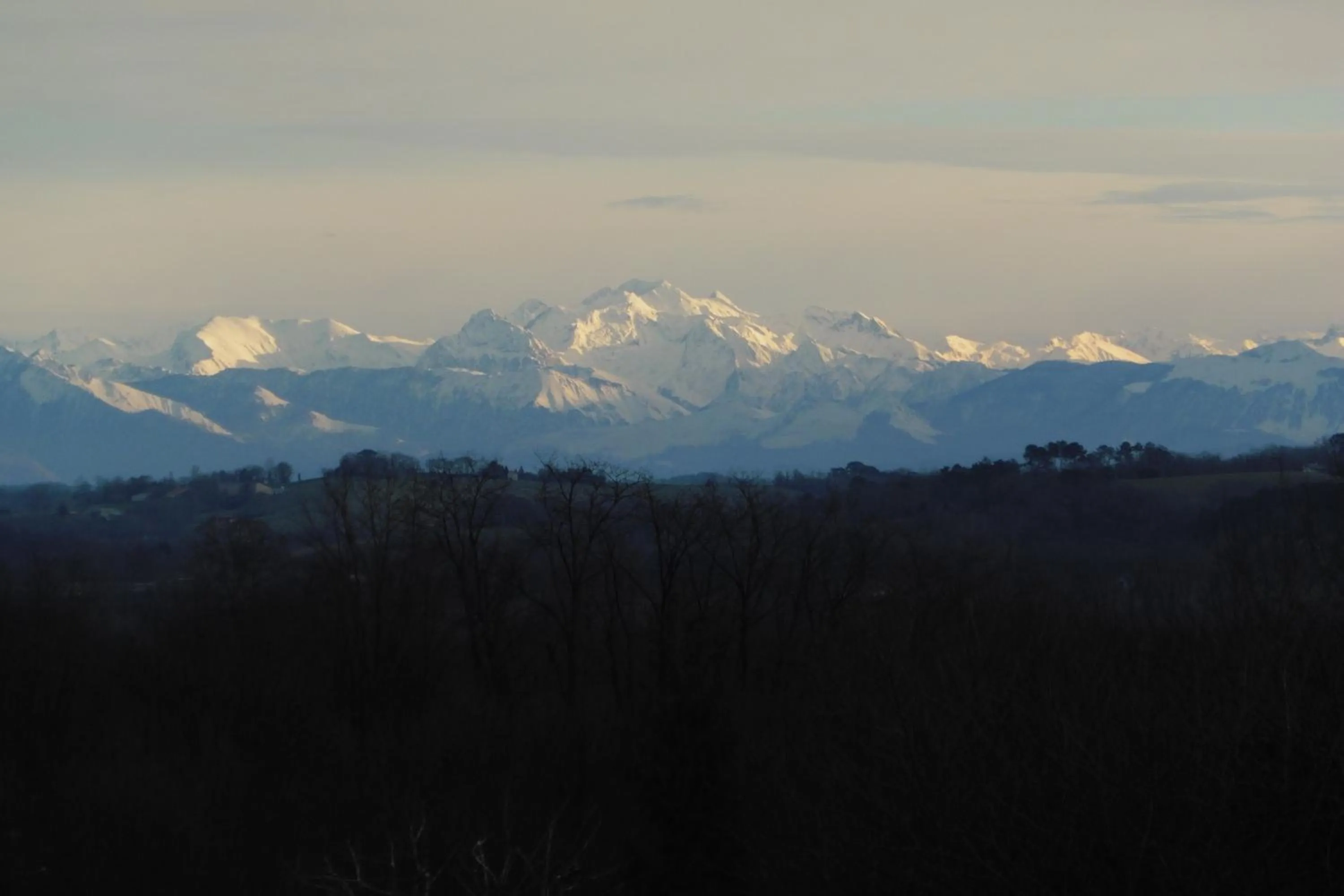 Staff in Domaine Hias