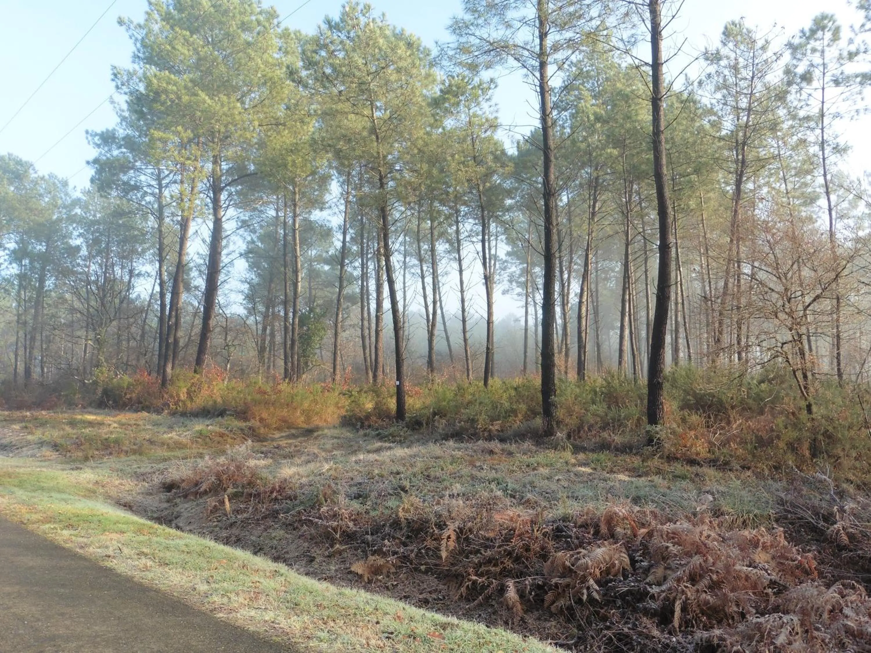 Off site in Domaine Hias