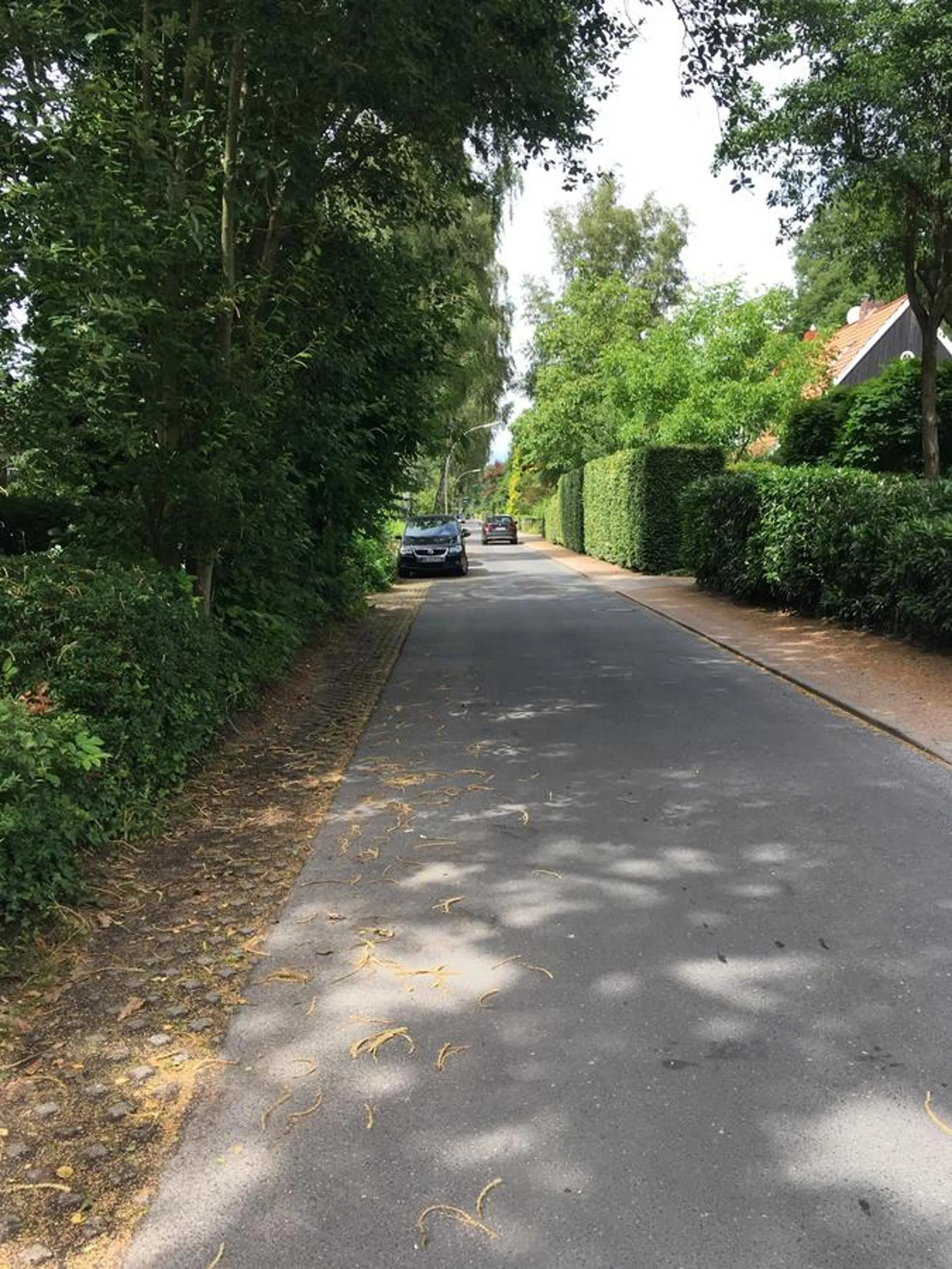 Street view in Bed & Breakfast Bigalke