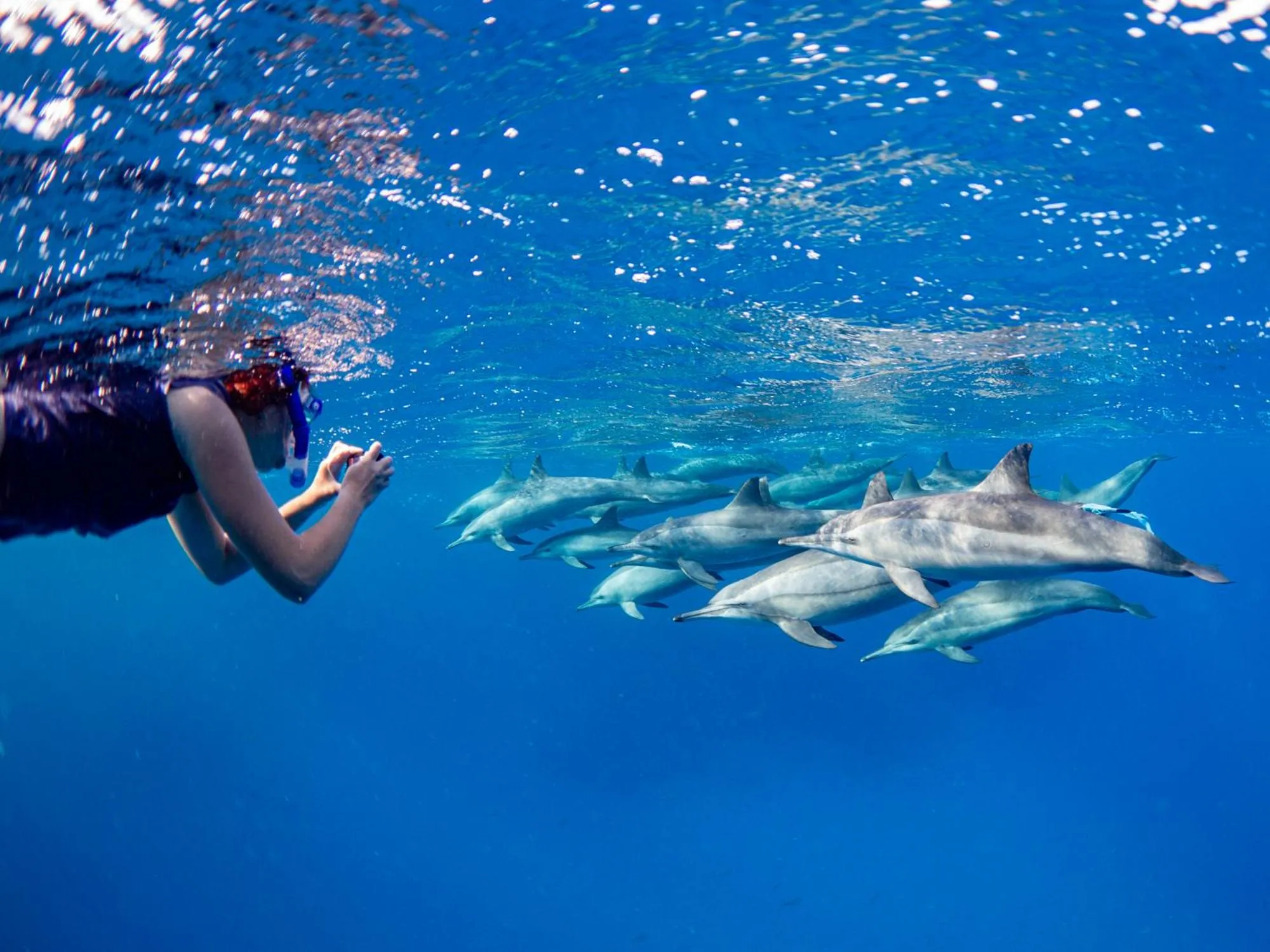 Activities in Marsa Shagra Village