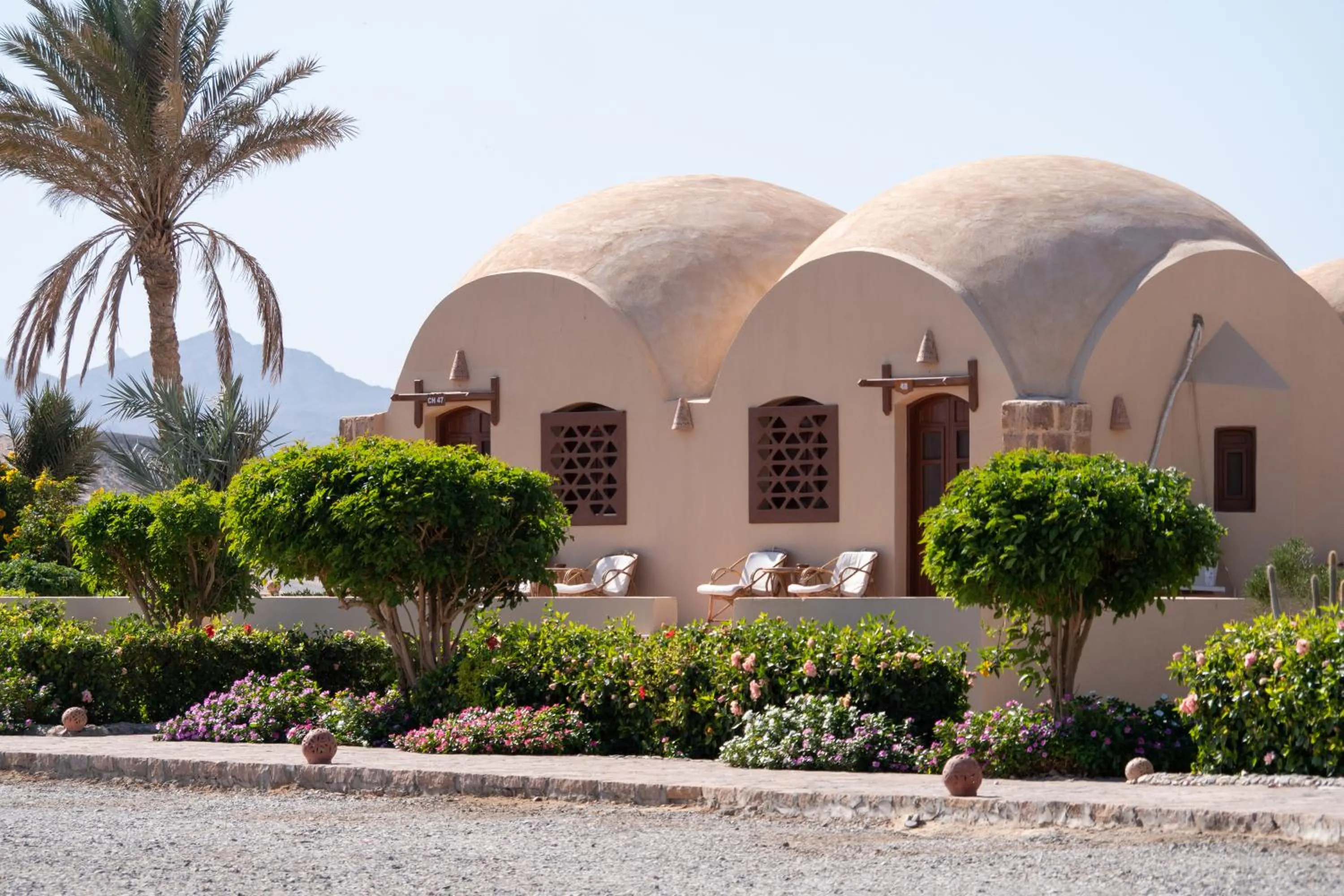 Garden in Marsa Shagra Village