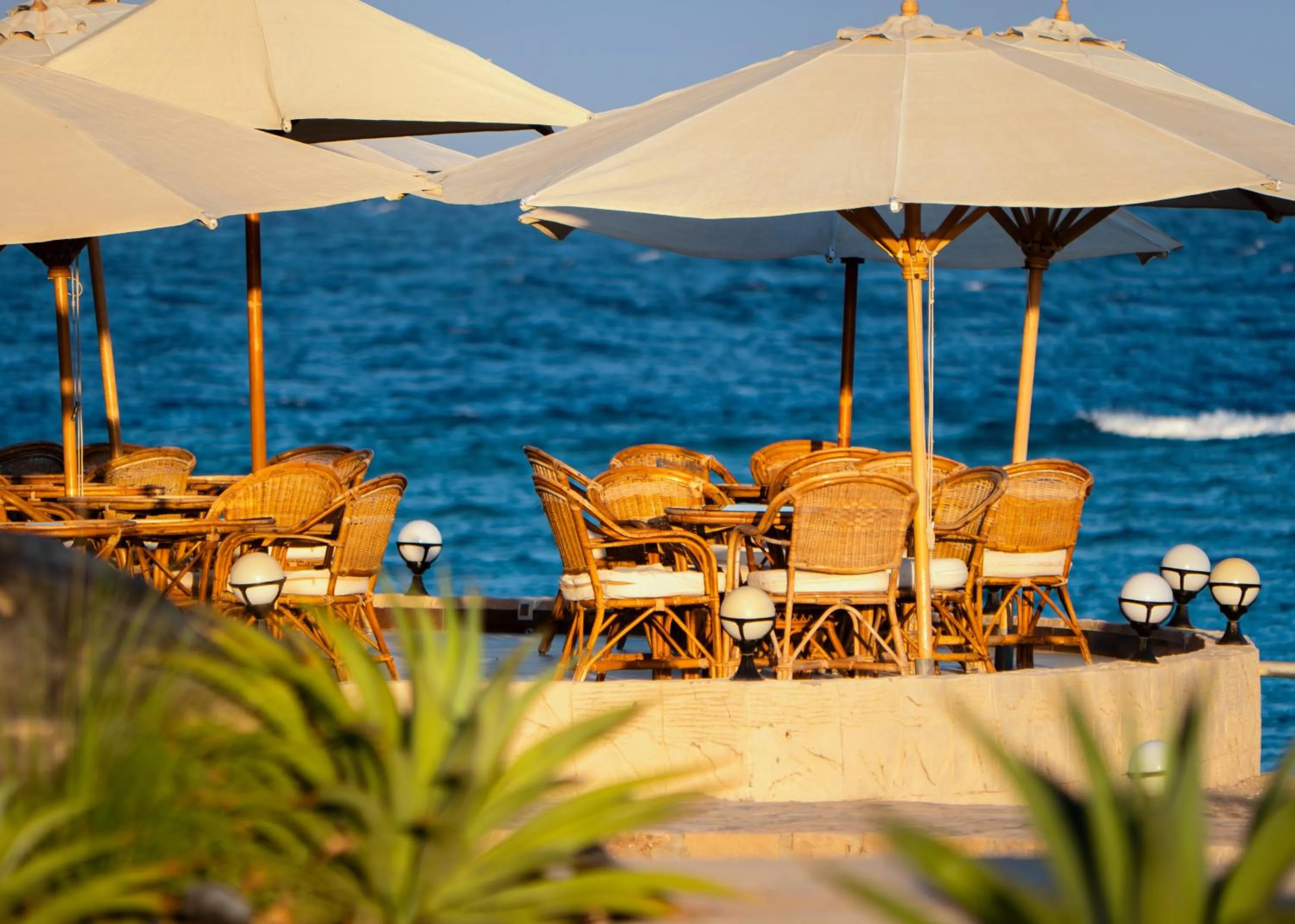 Restaurant/places to eat in Marsa Shagra Village