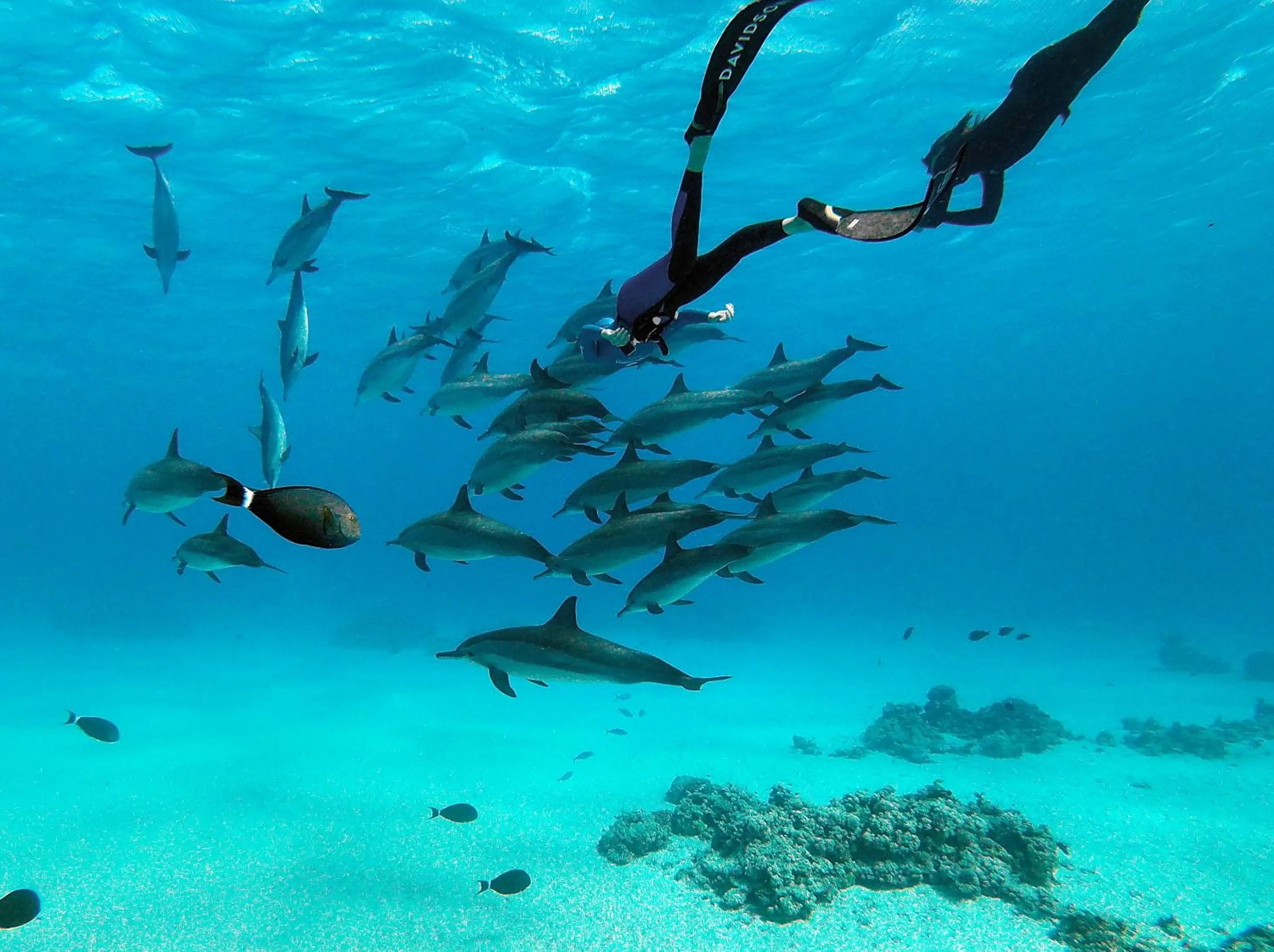 Activities in Marsa Shagra Village