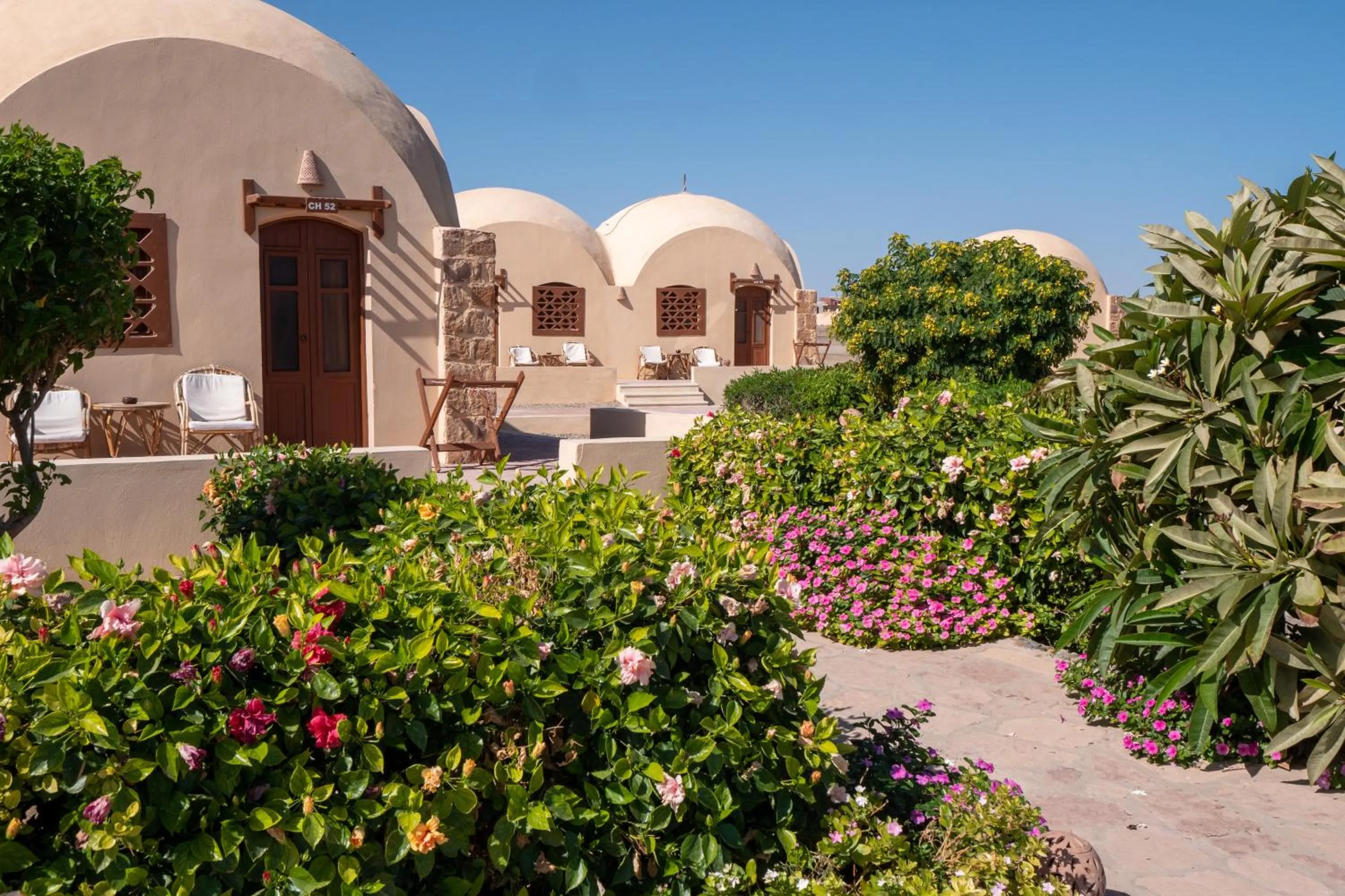 Garden in Marsa Shagra Village