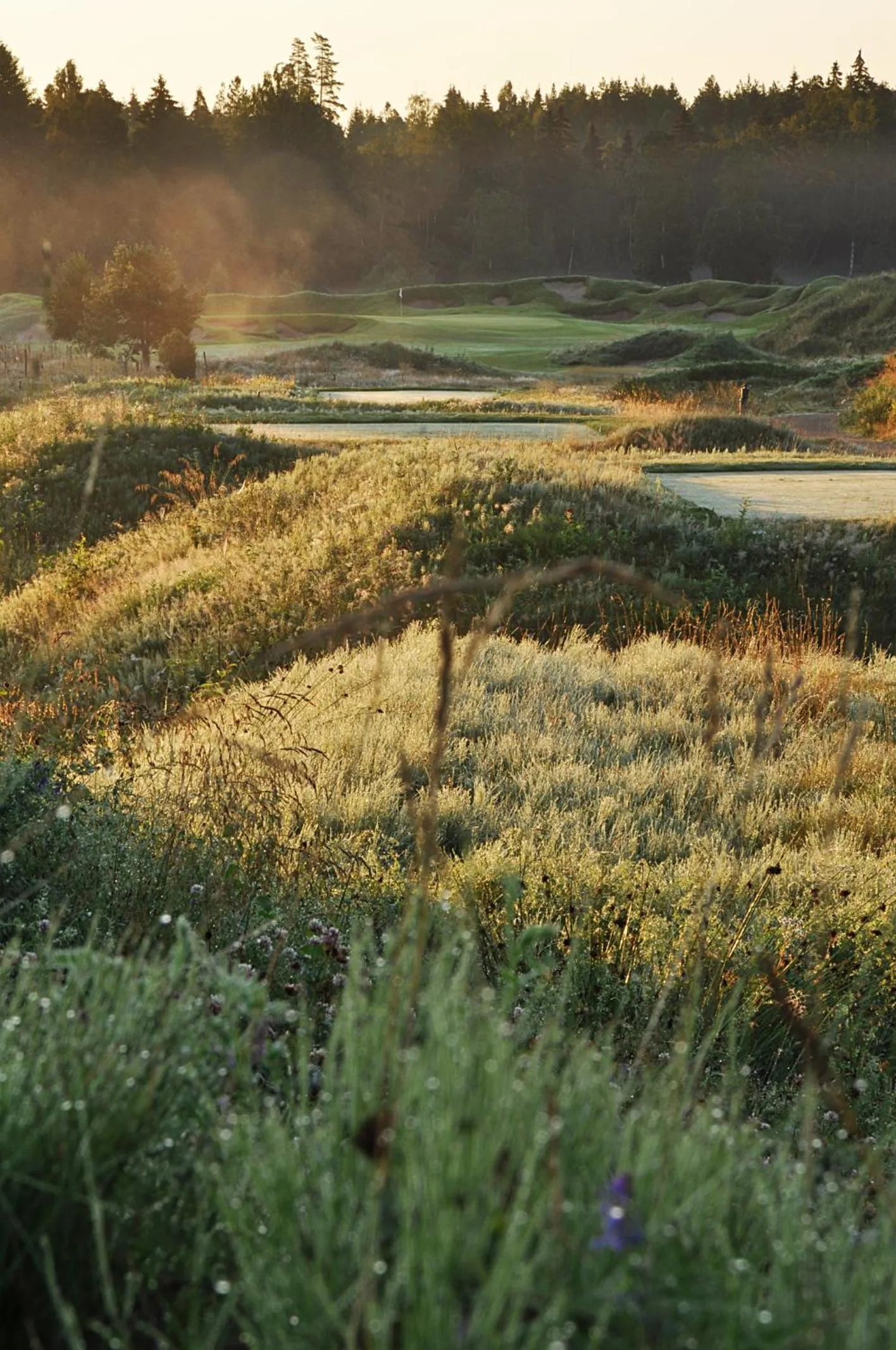 Natural landscape in Sand Golf Club