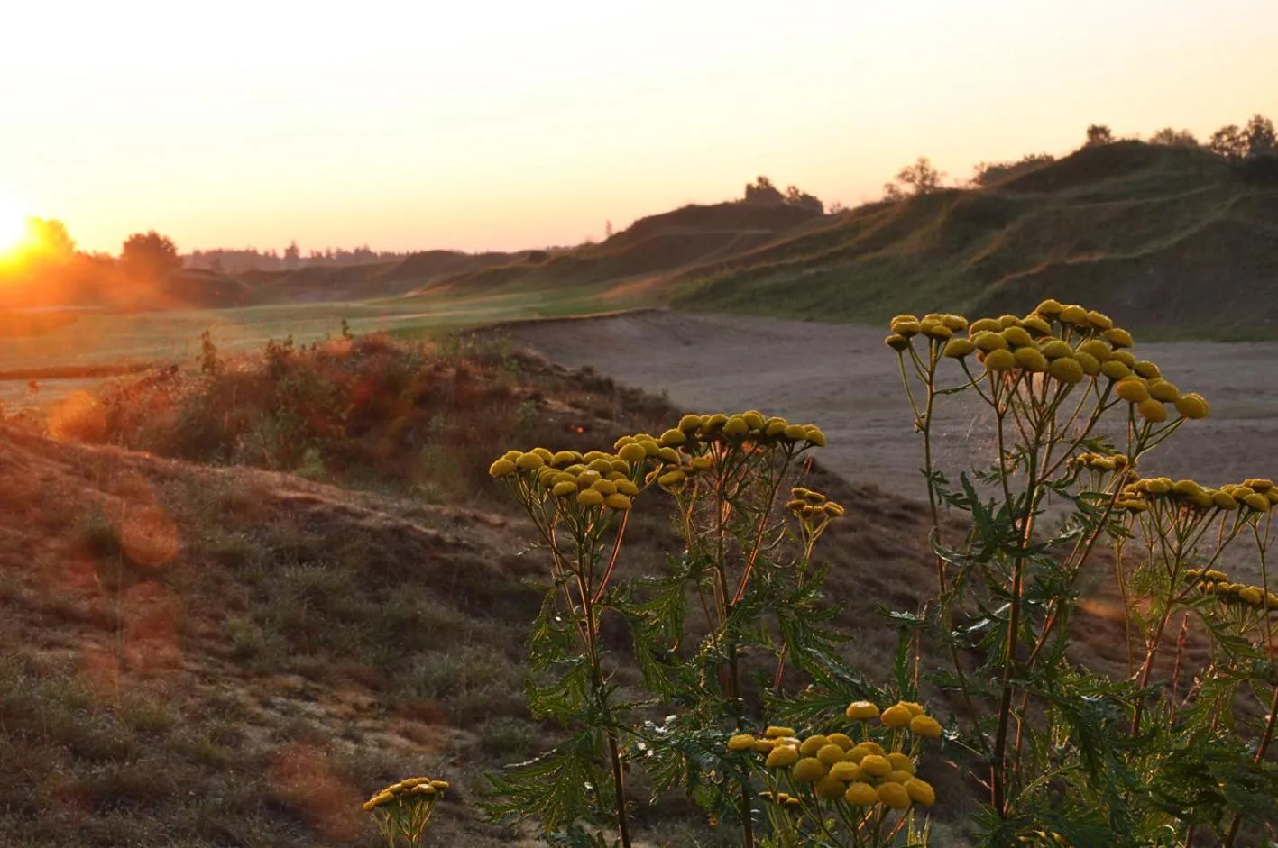 Natural landscape in Sand Golf Club