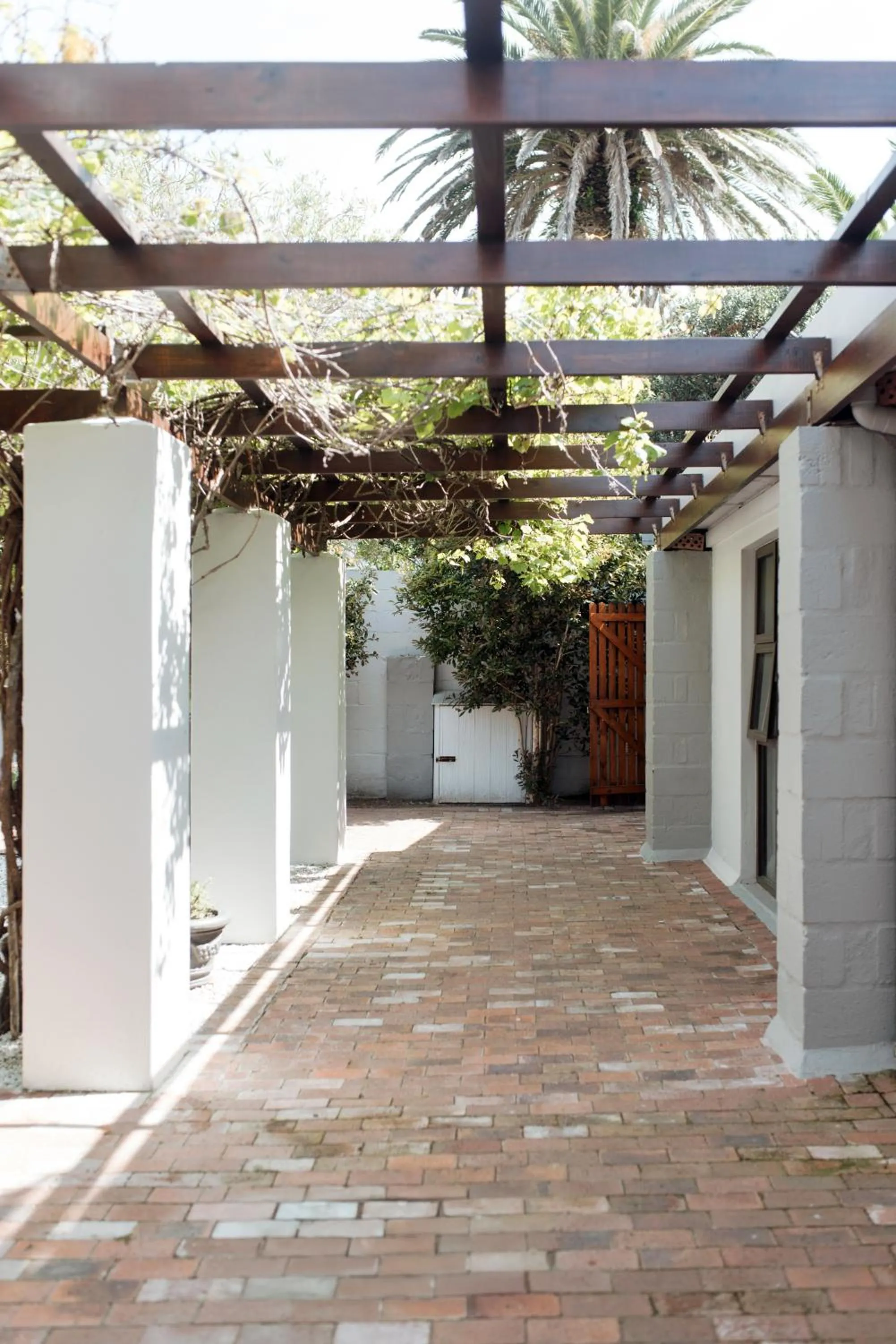 Garden in Whale Away Guest House