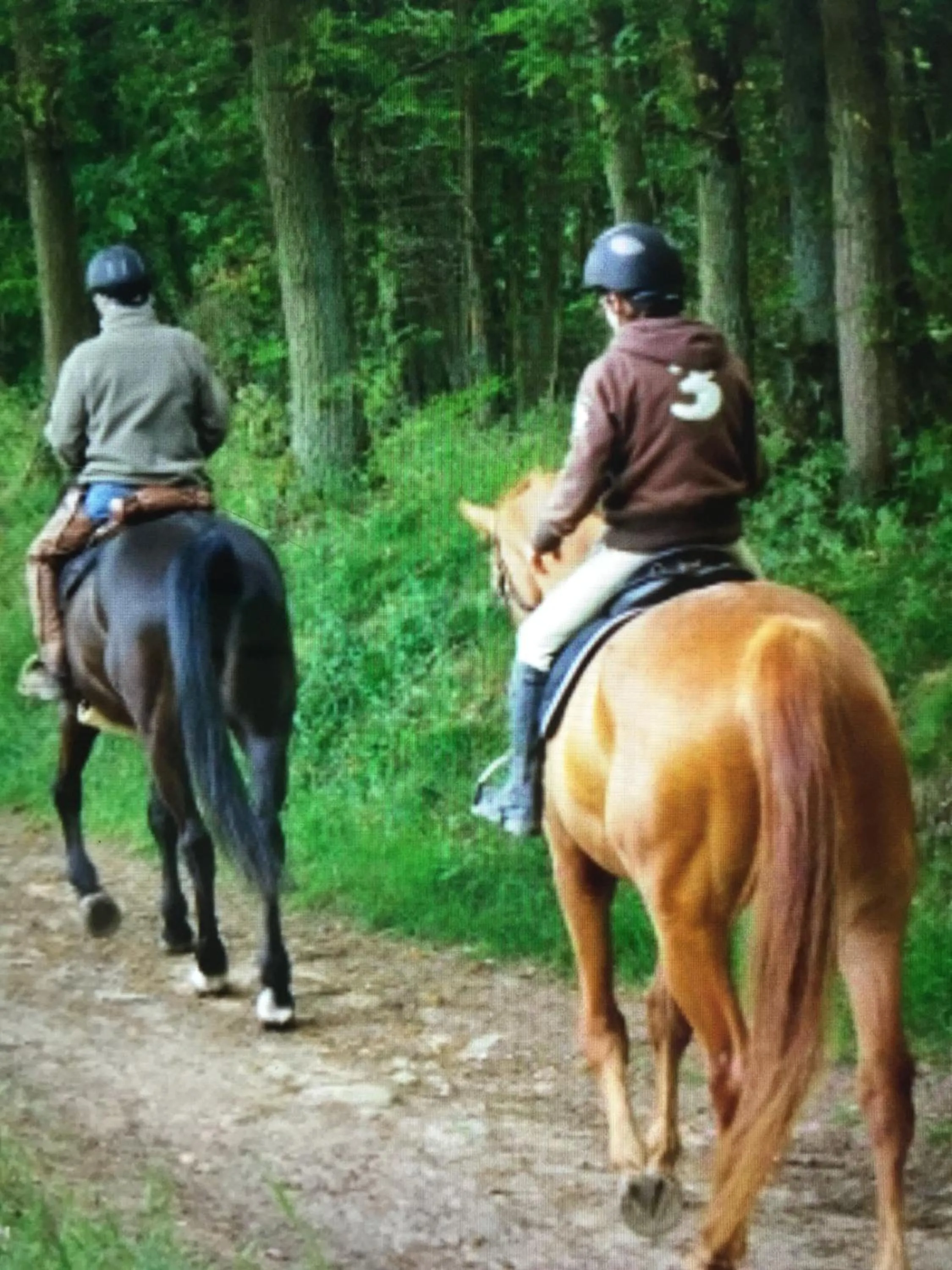 Activities in Camping les Orangers