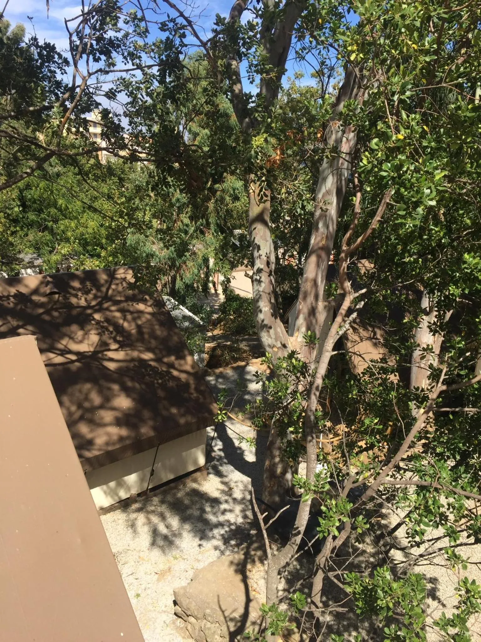 Garden view in Camping les Orangers