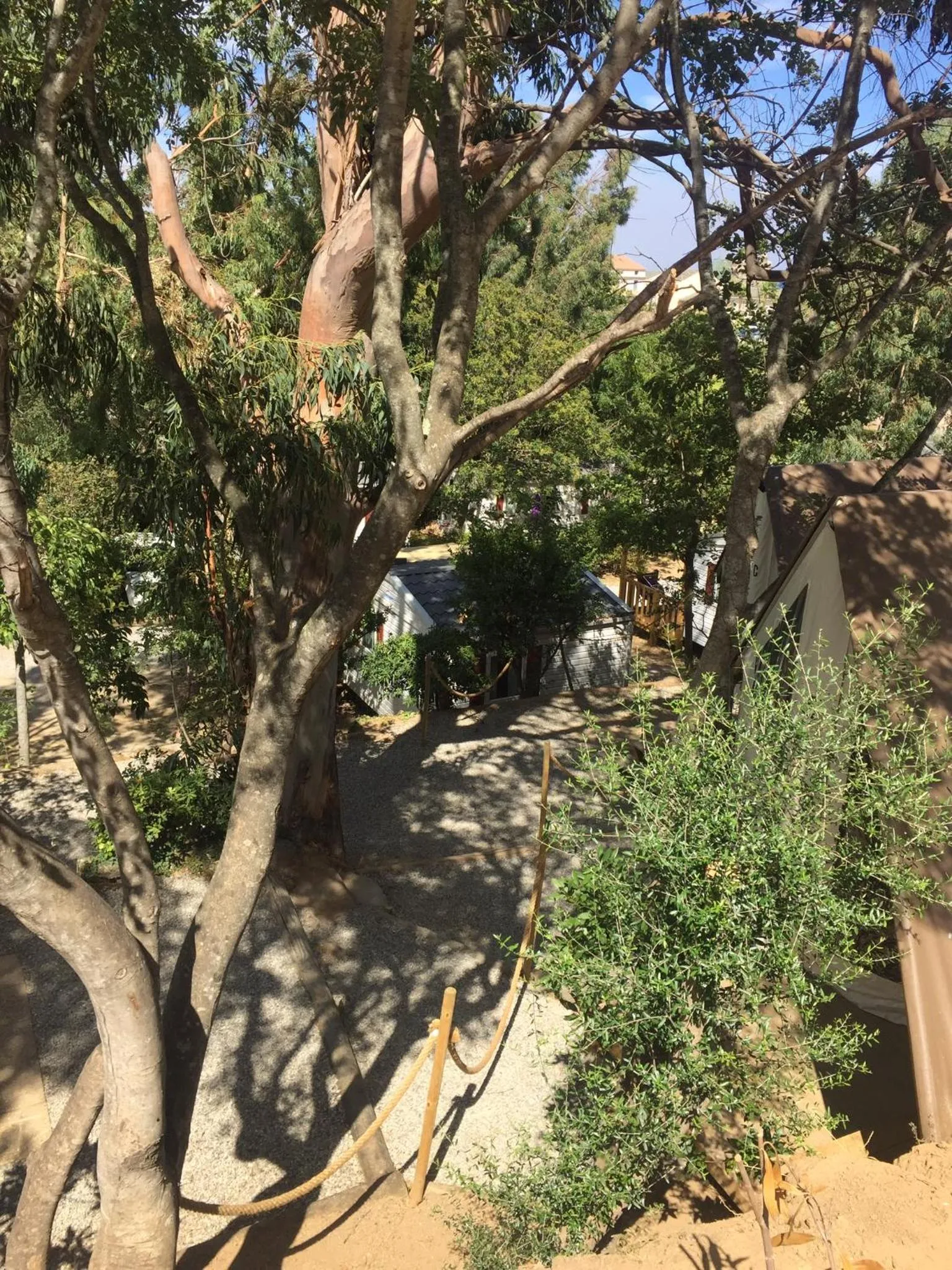 Garden view in Camping les Orangers