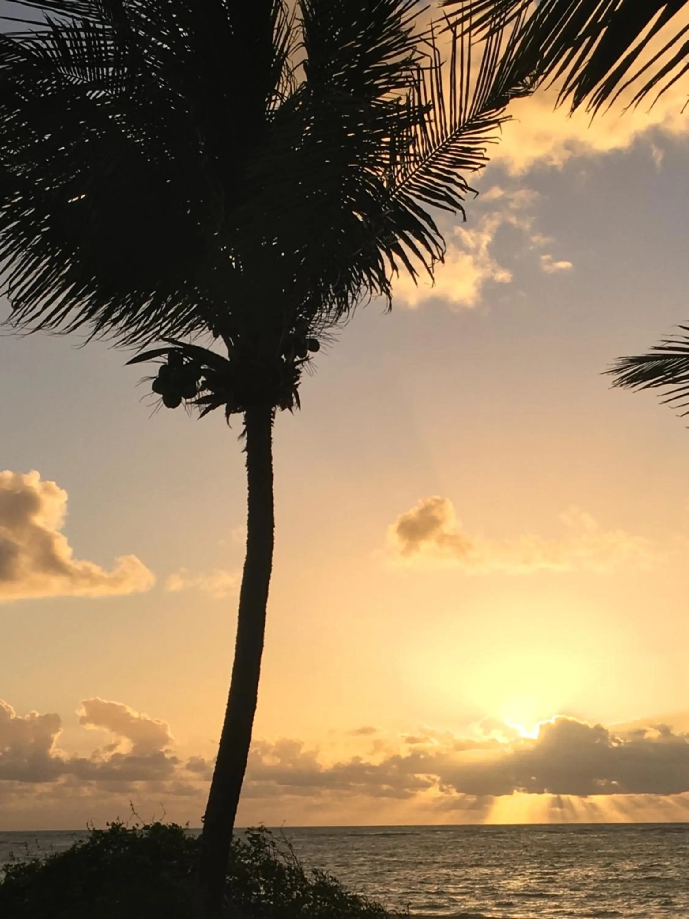 Natural landscape in NUMAR Hotel