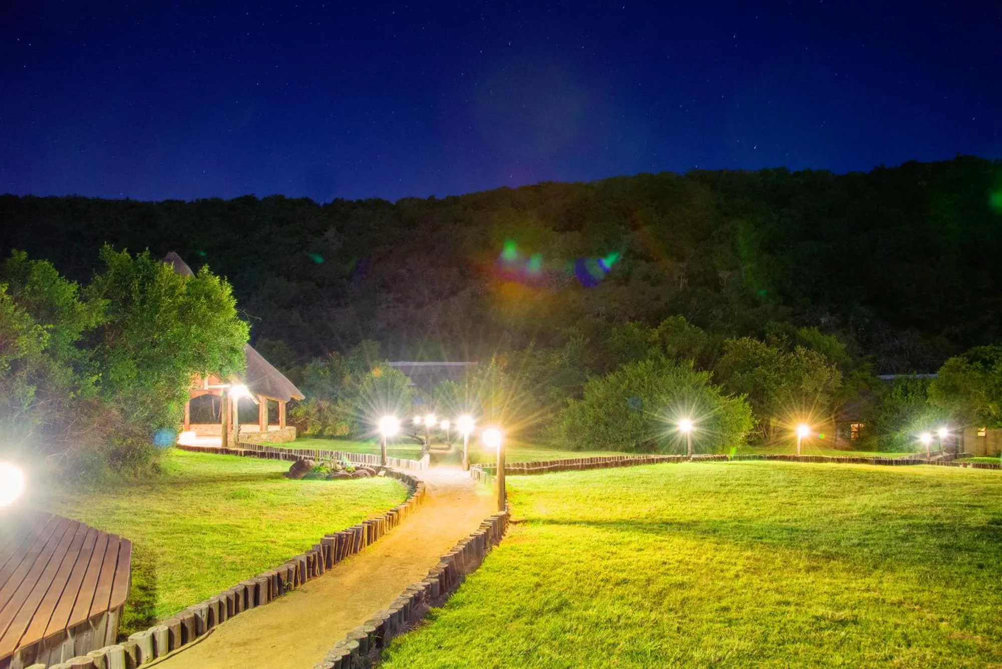 Garden in Premier Resort Mpongo Private Game Reserve