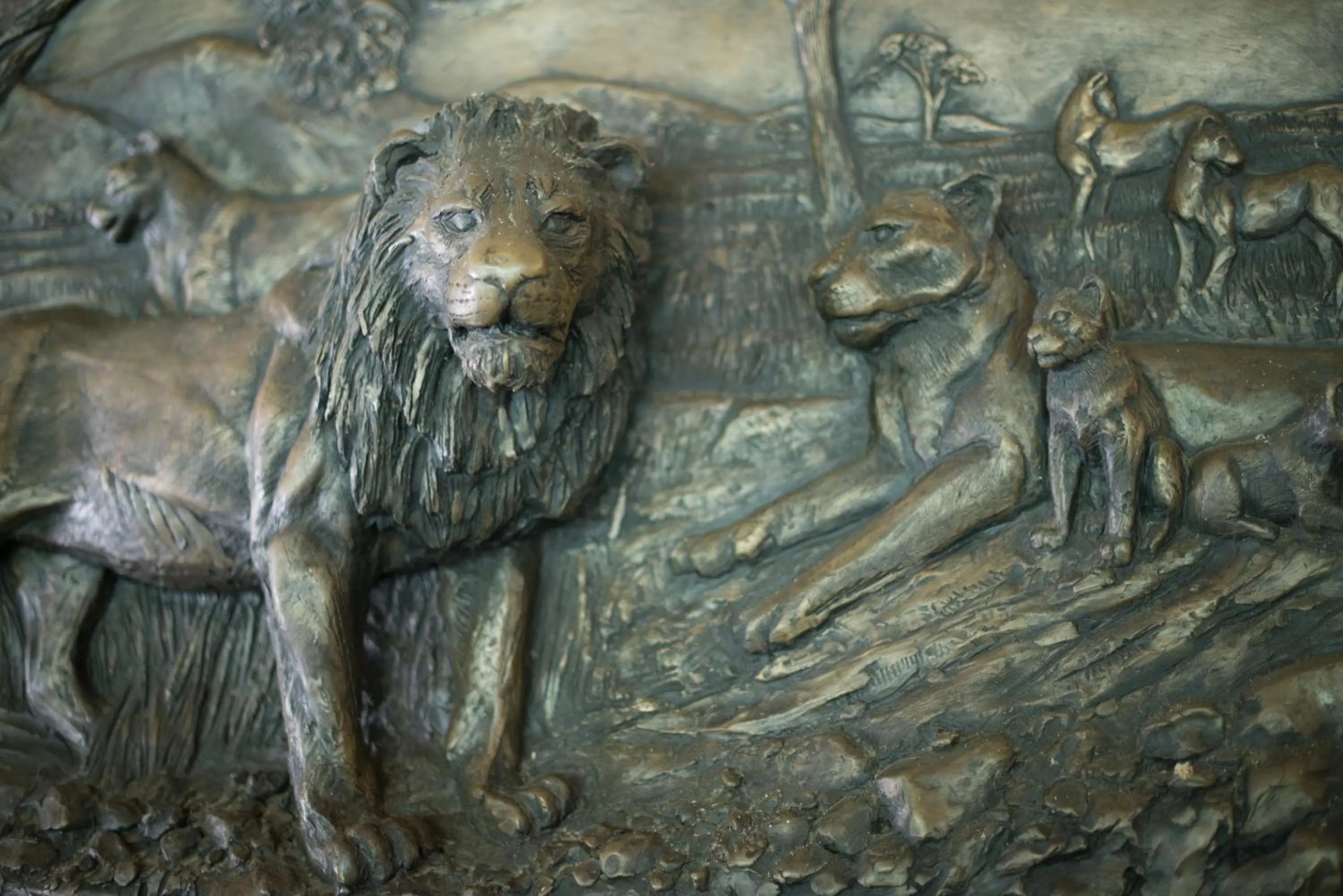 Decorative detail in Premier Resort Mpongo Private Game Reserve