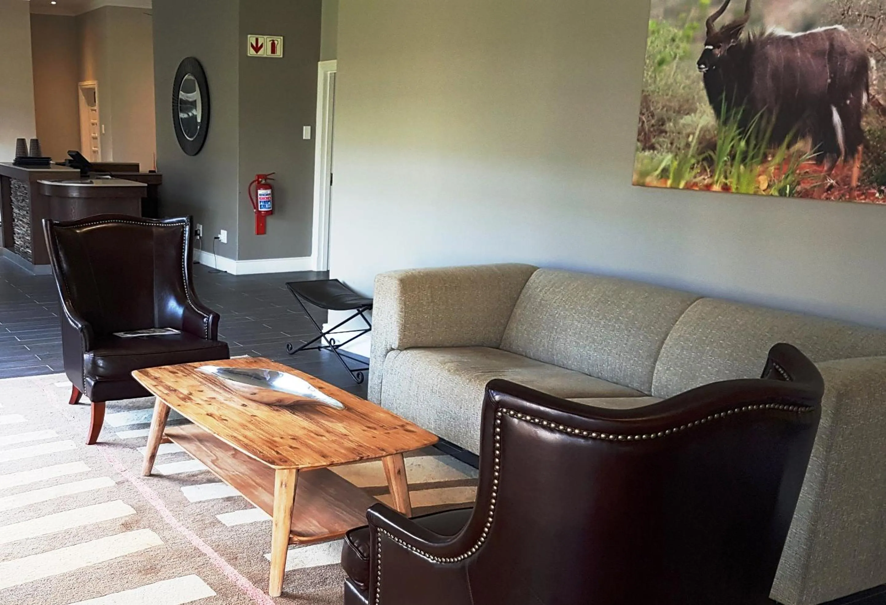 Communal lounge/ TV room in Premier Resort Mpongo Private Game Reserve