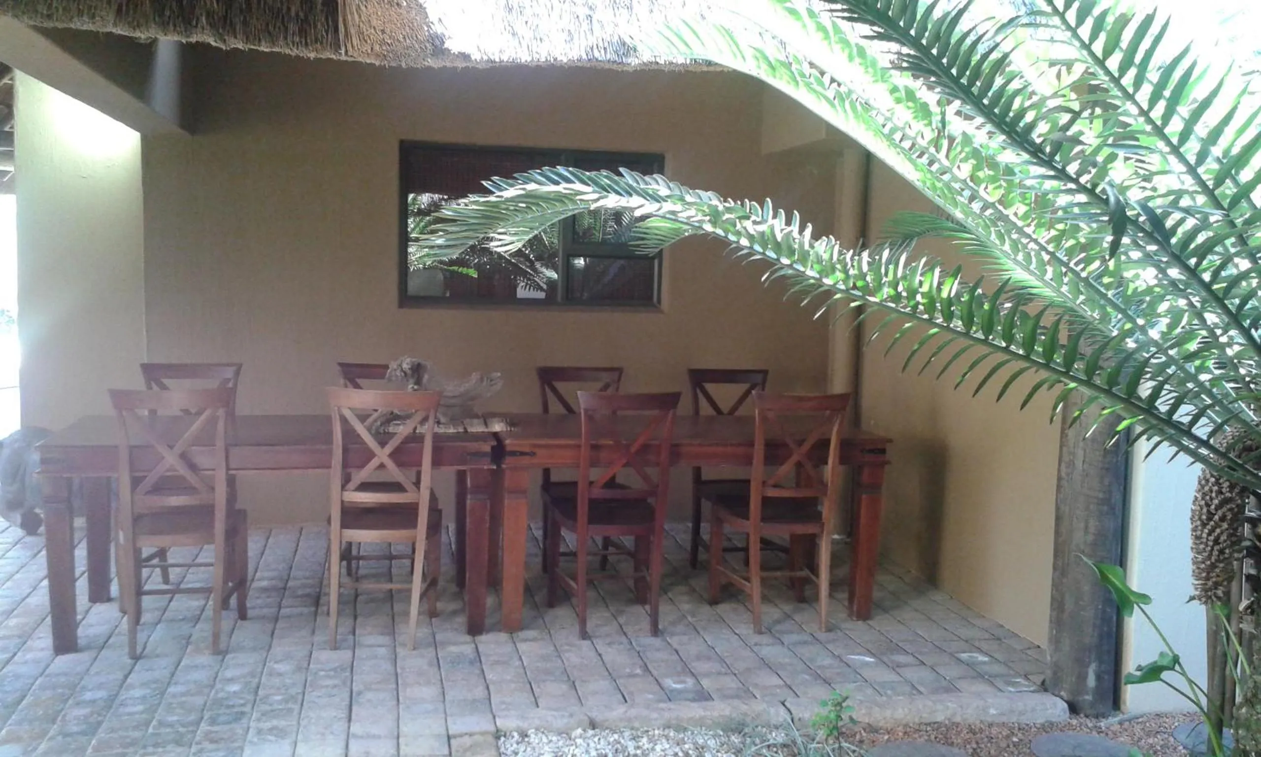 Balcony/Terrace in Premier Resort Mpongo Private Game Reserve