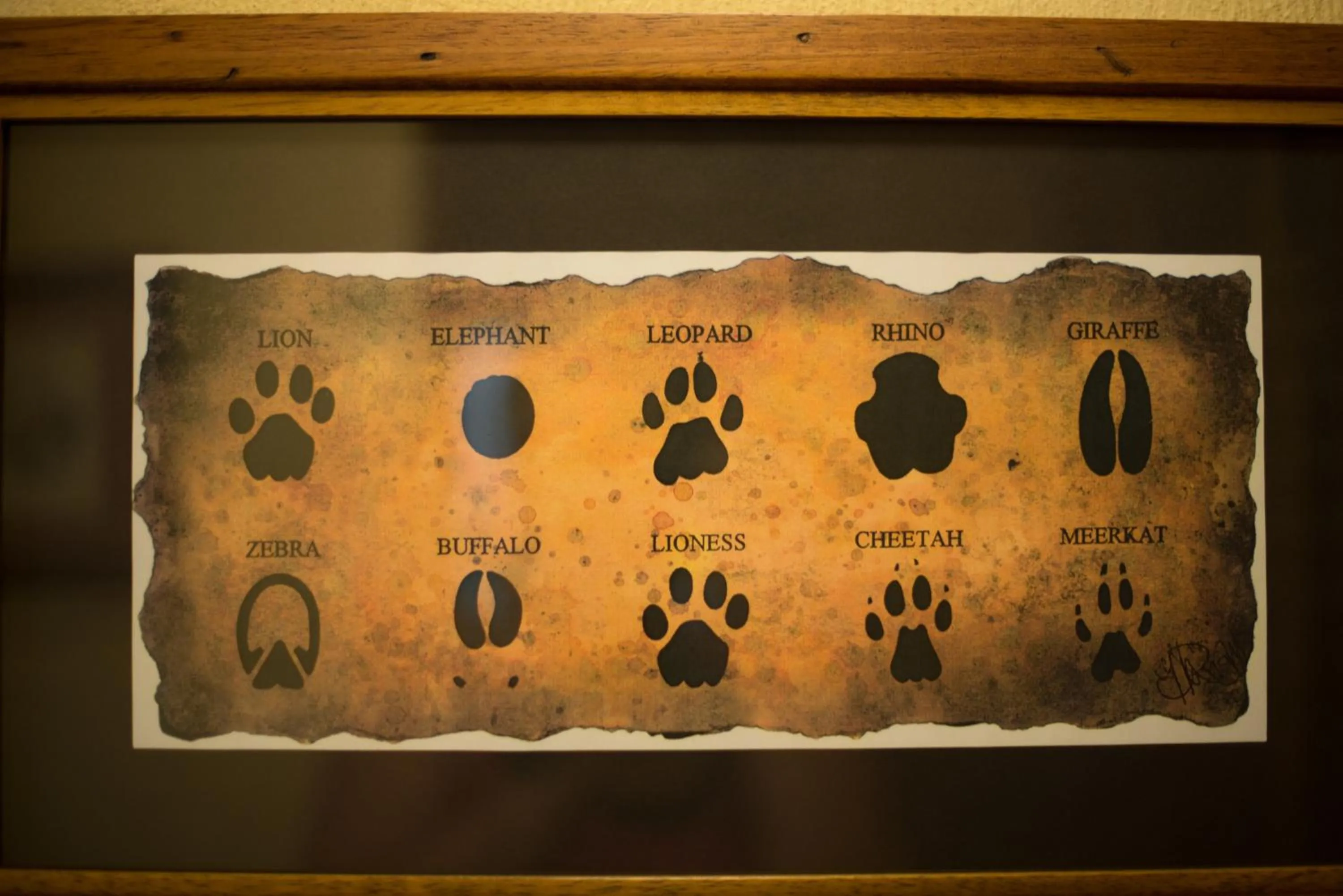 Logo/Certificate/Sign in Premier Resort Mpongo Private Game Reserve