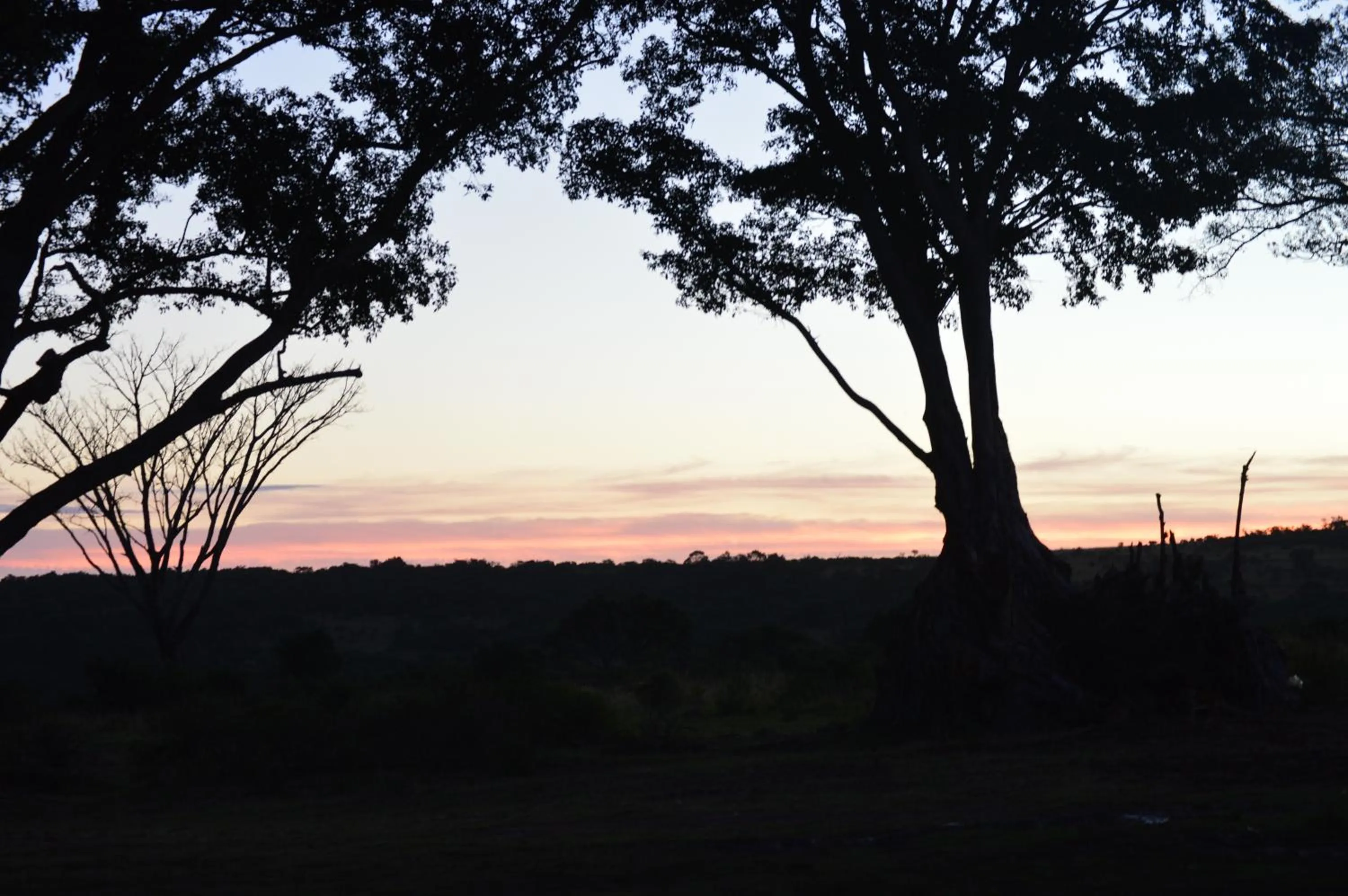 Sunset in Premier Resort Mpongo Private Game Reserve