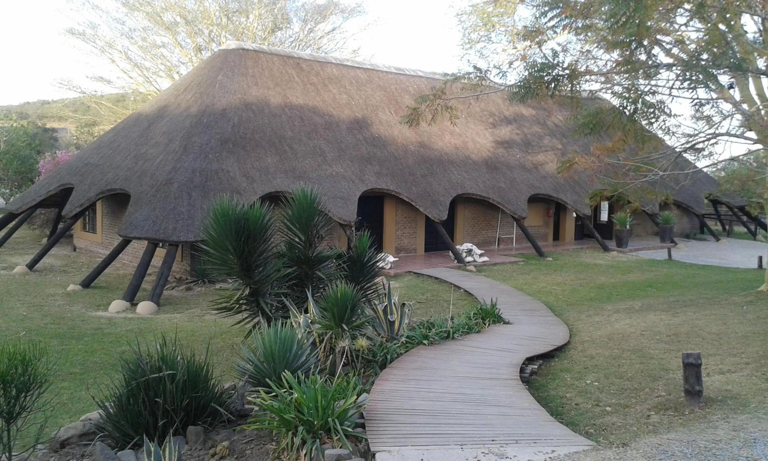 Banquet/Function facilities in Premier Resort Mpongo Private Game Reserve