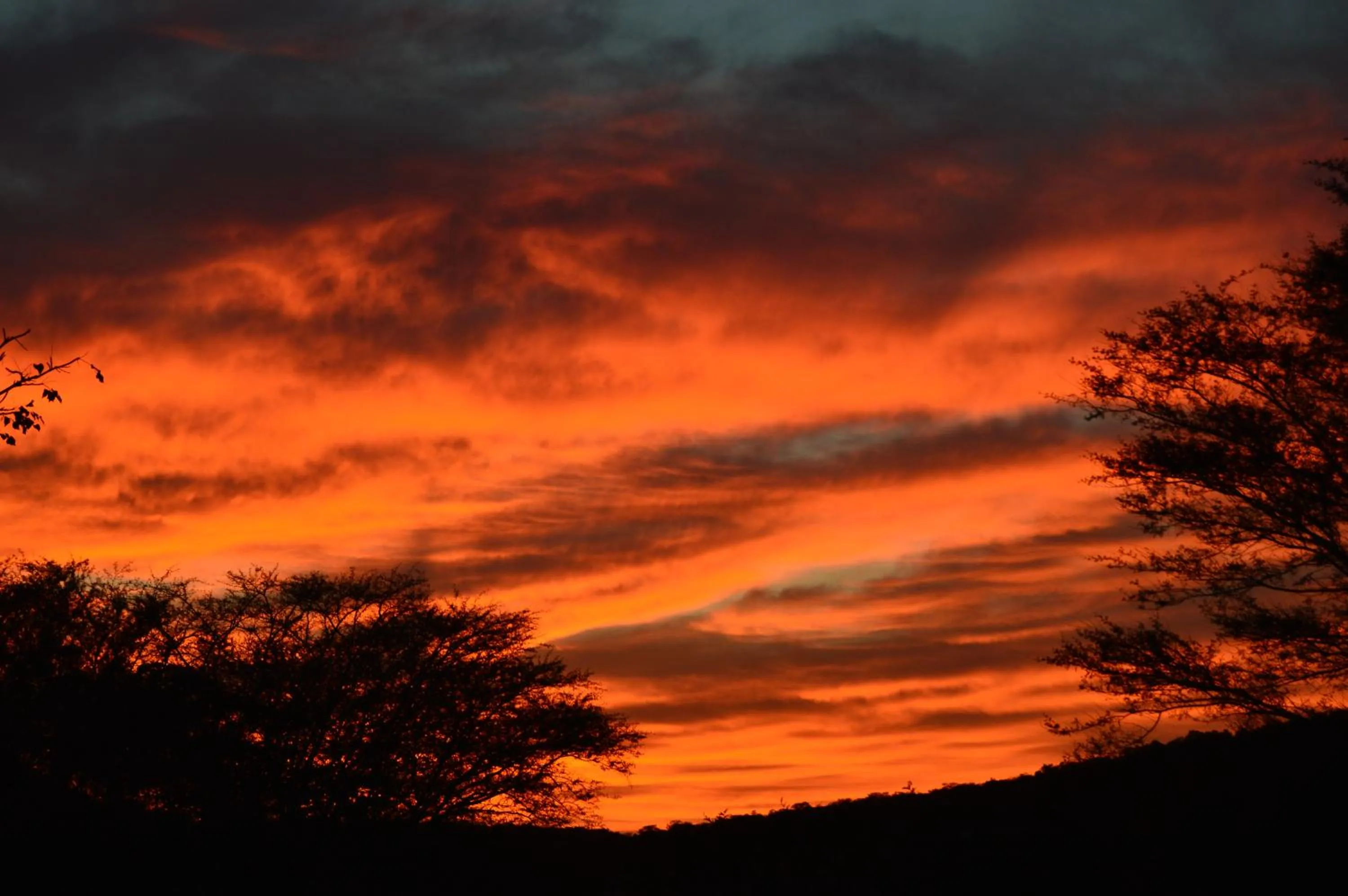 On site in Premier Resort Mpongo Private Game Reserve