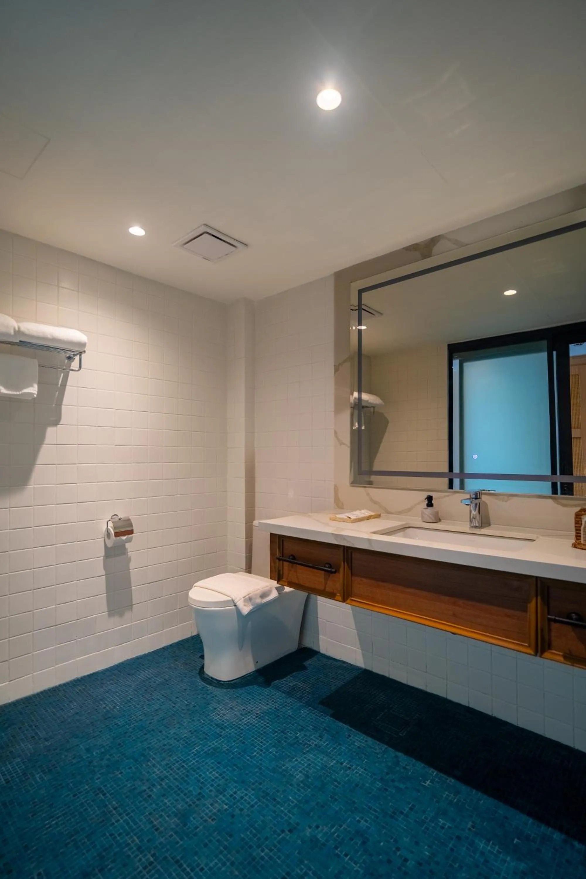 Toilet in The Henry Glass House Clark