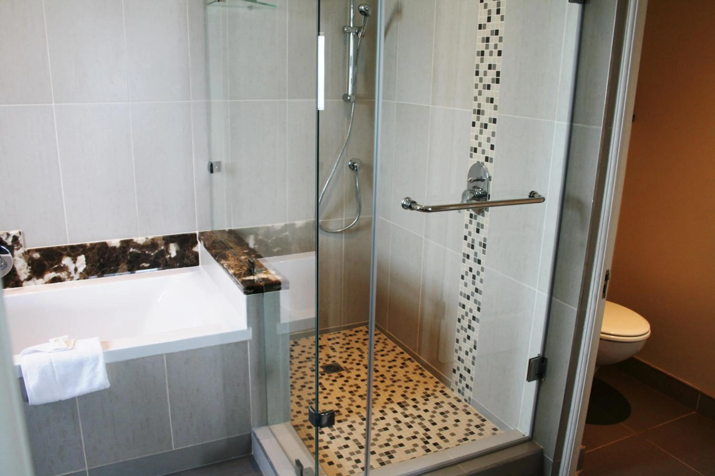 Shower in Premier Hotel Regent