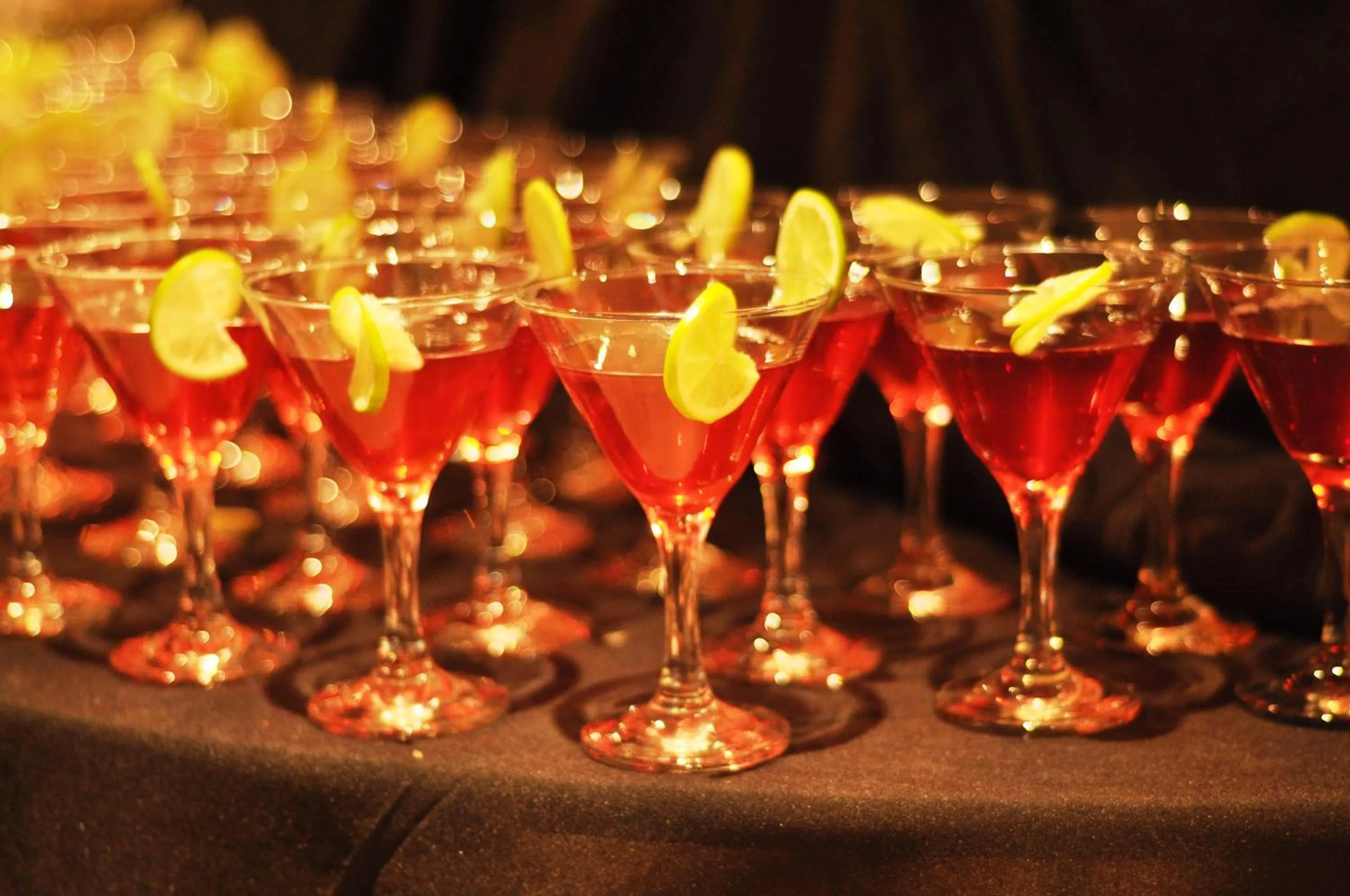 Business facilities in Premier Hotel Regent