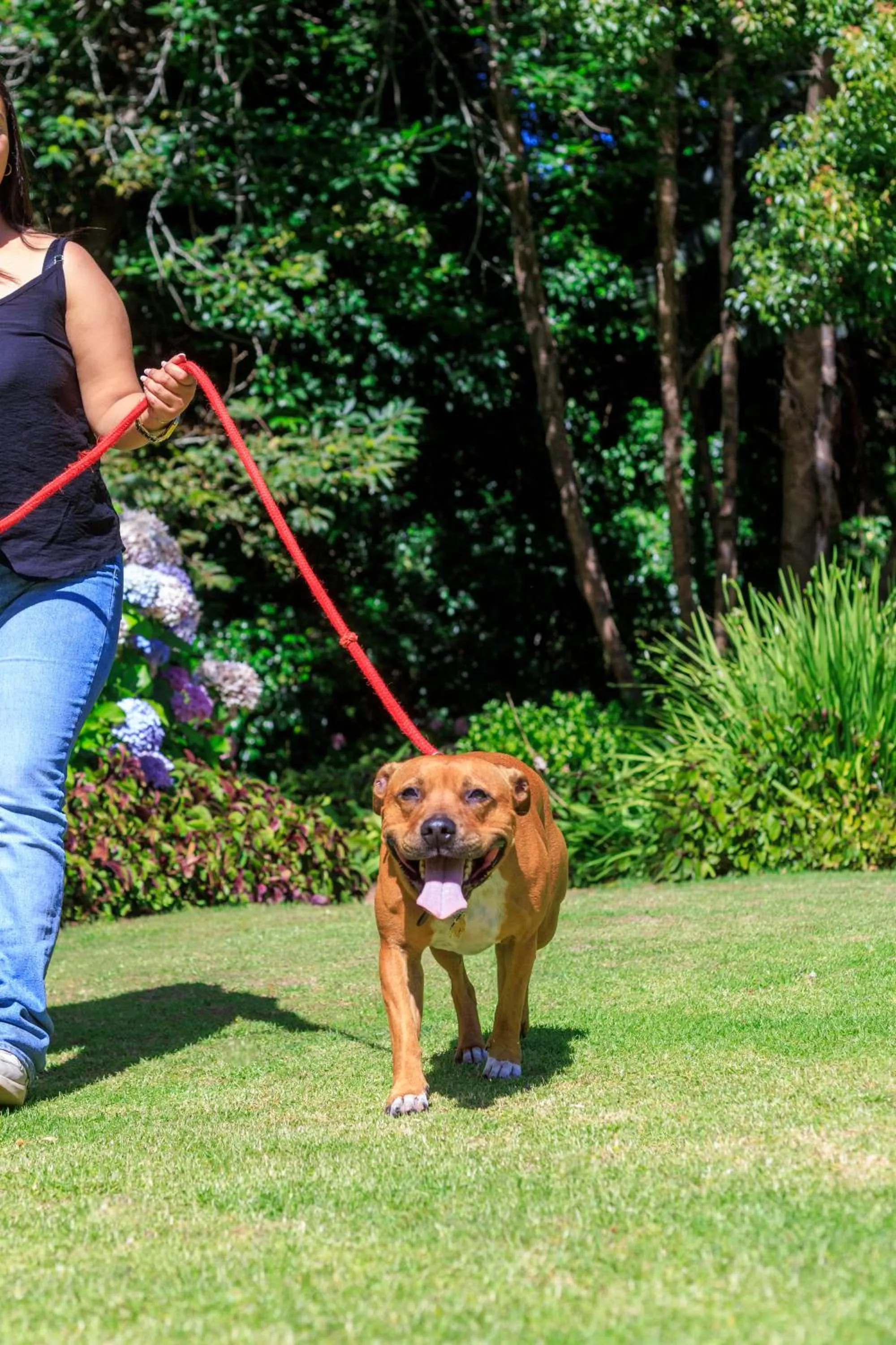Garden in The Cellars-Hohenort