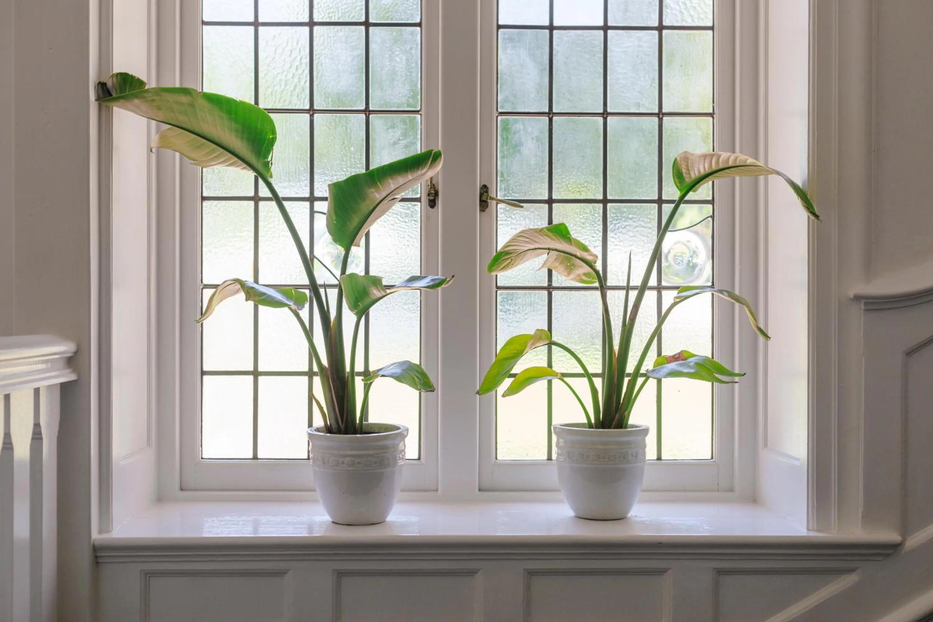 Decorative detail in The Cellars-Hohenort