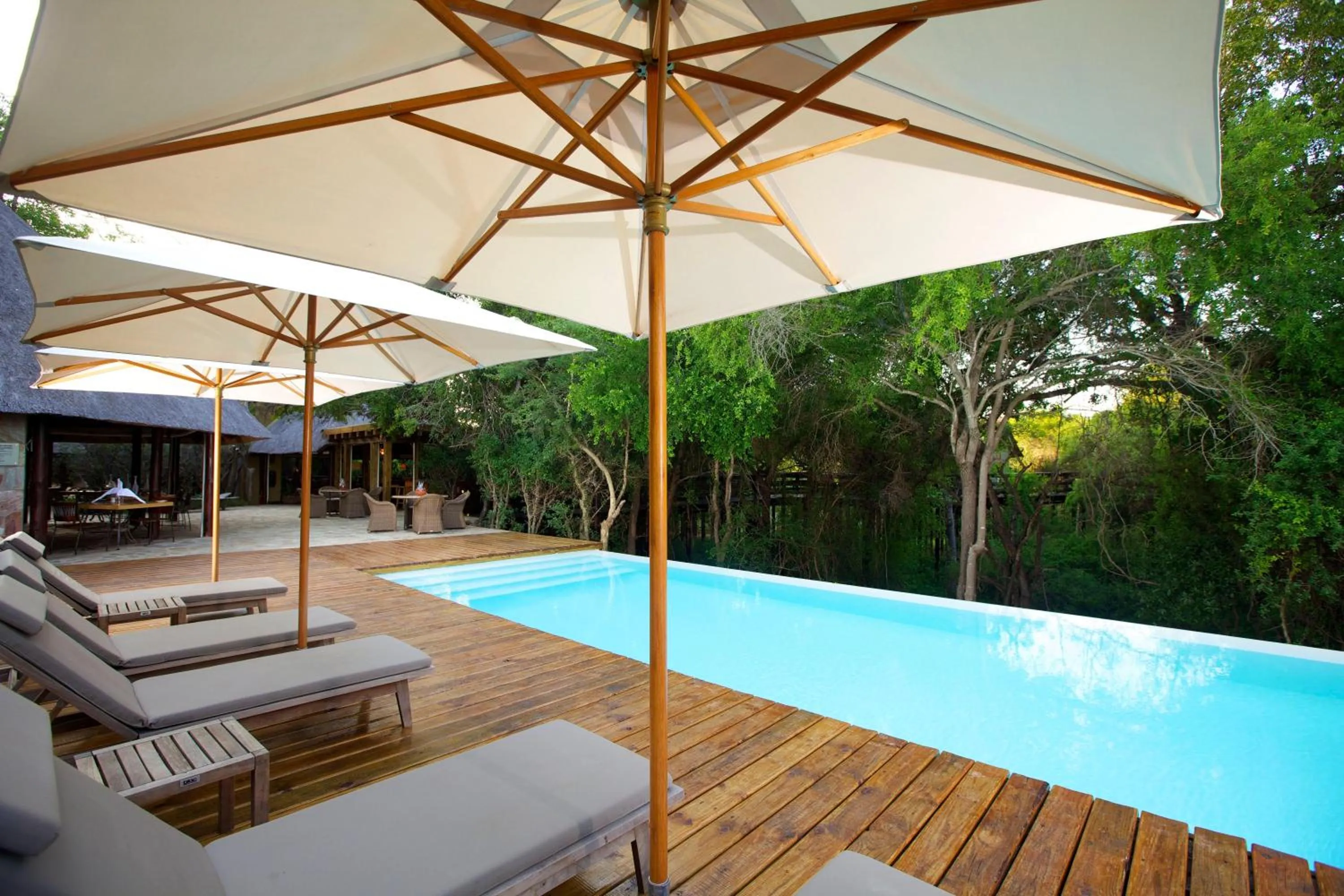 Swimming pool in Kapama Buffalo Camp