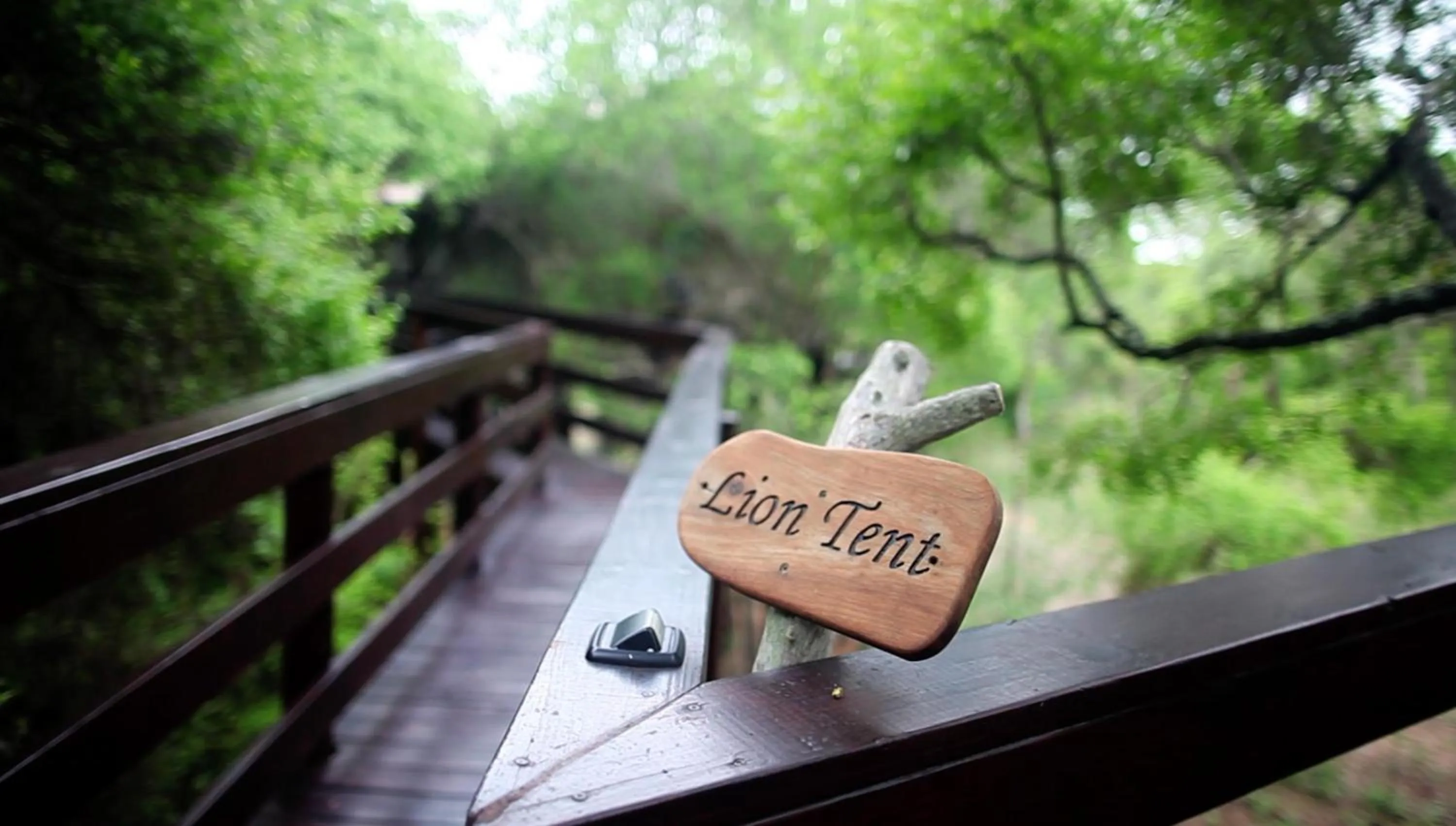 Balcony/Terrace in Kapama Buffalo Camp