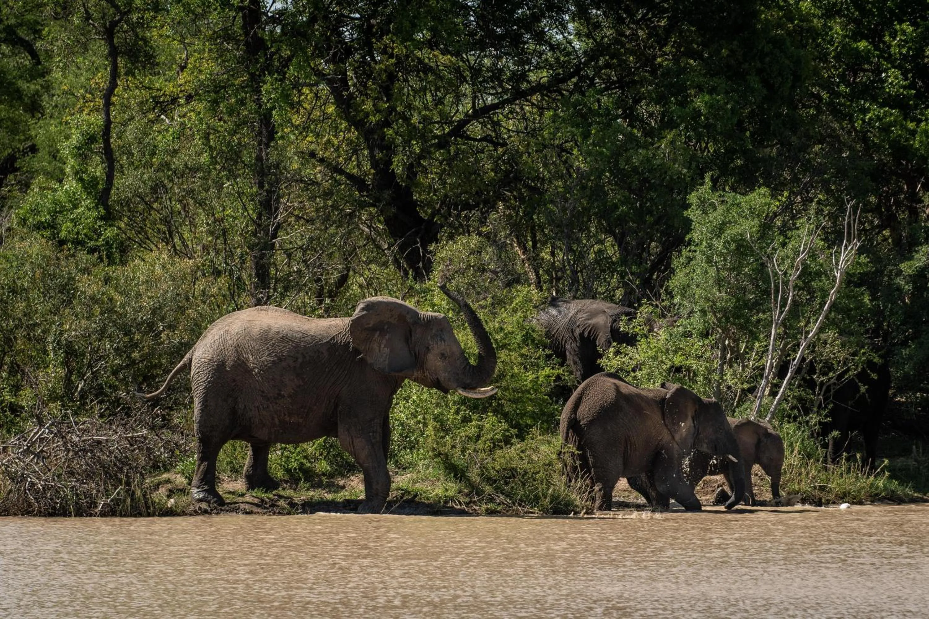 Natural landscape in Kapama Buffalo Camp