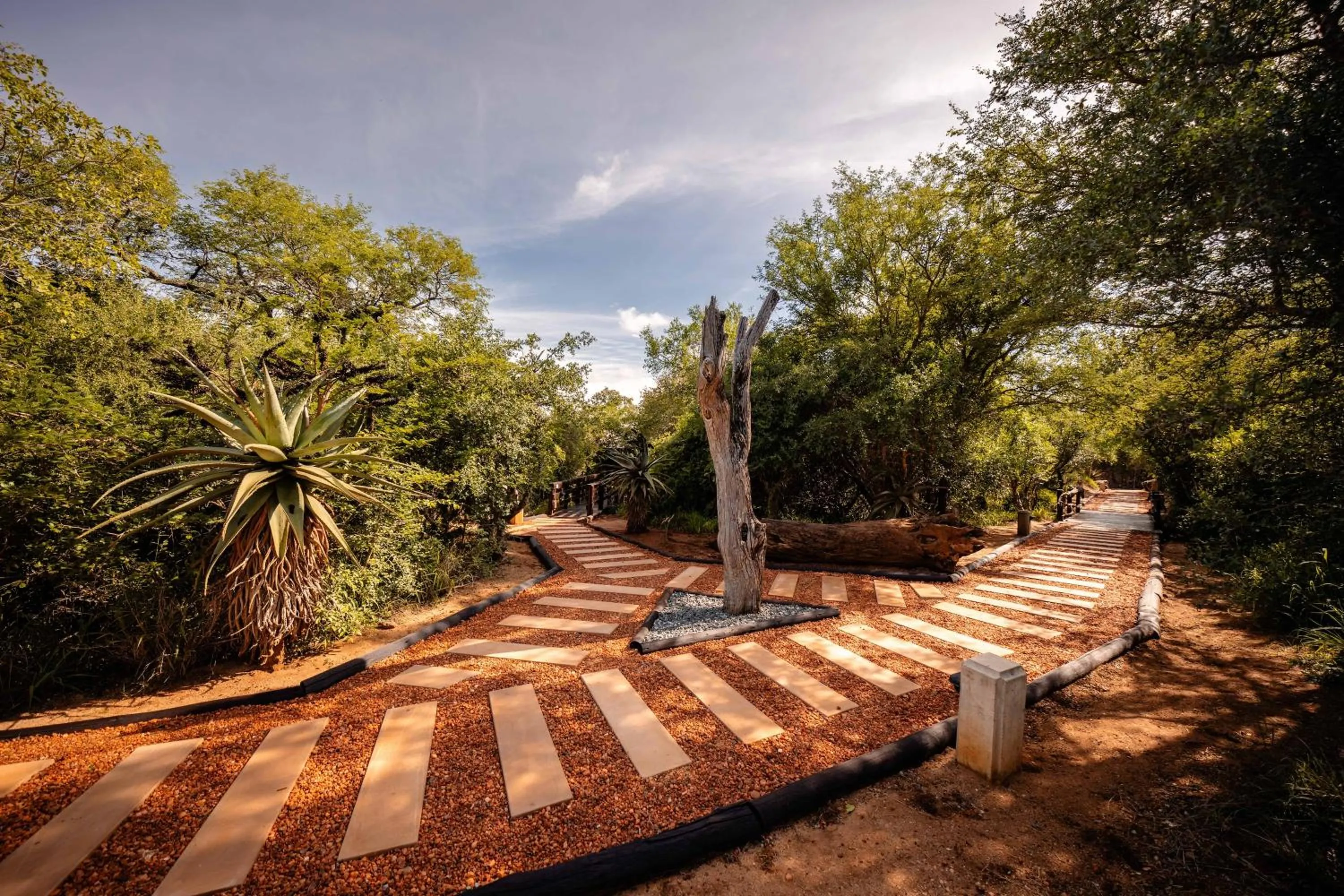 Other in Kapama Buffalo Camp