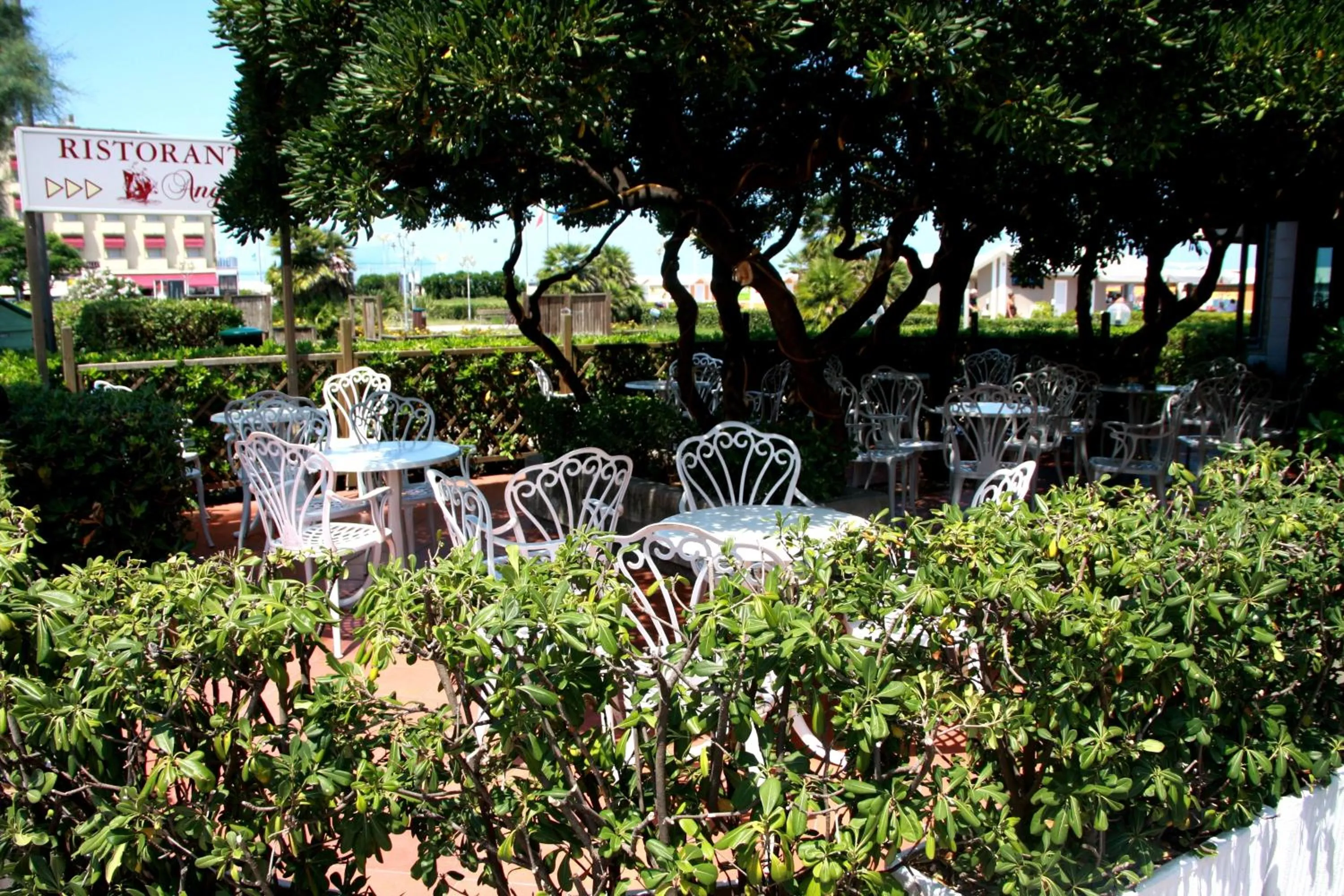 Garden in Hotel Angela