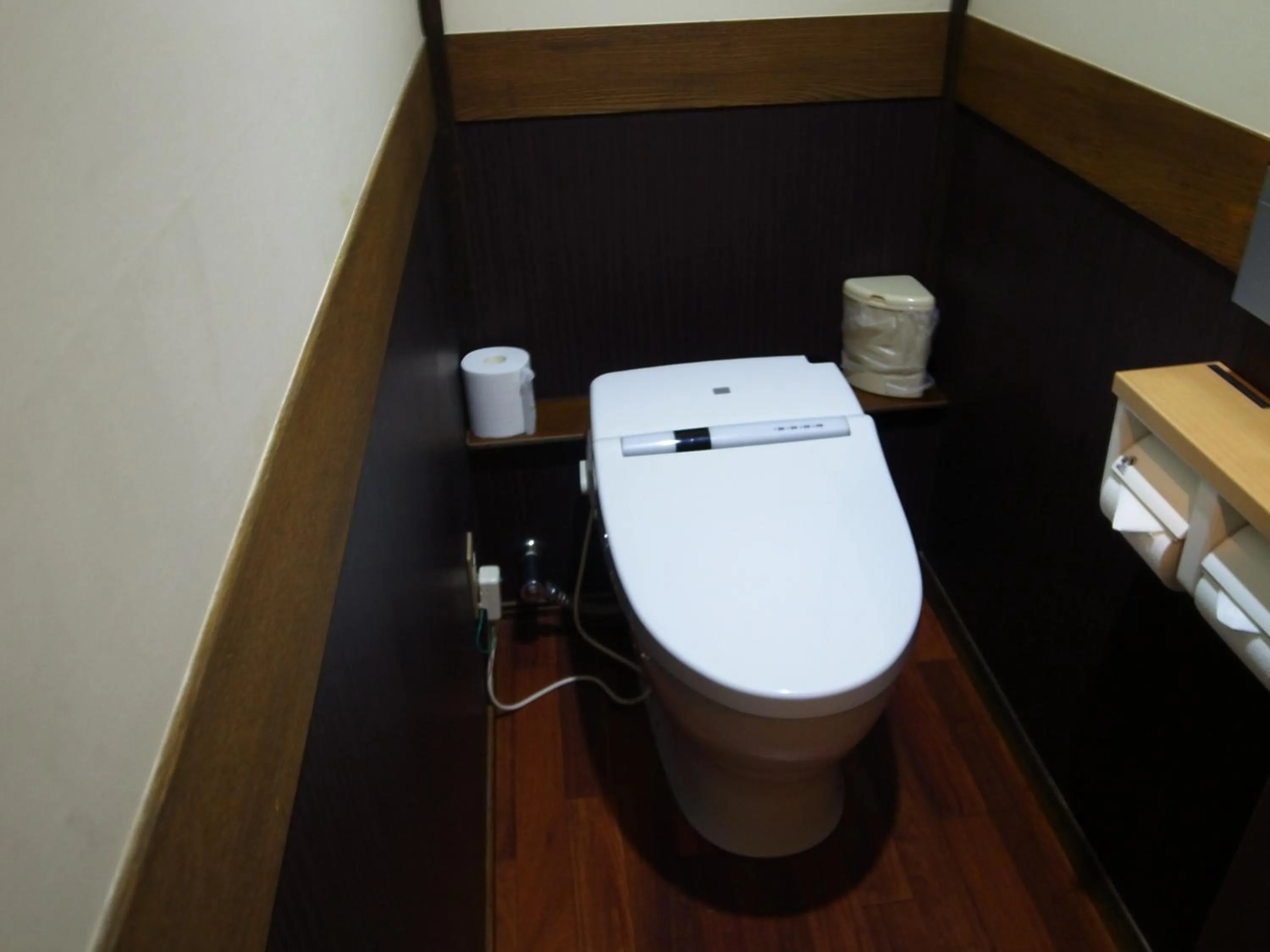 Toilet in Minshuku Takizawa