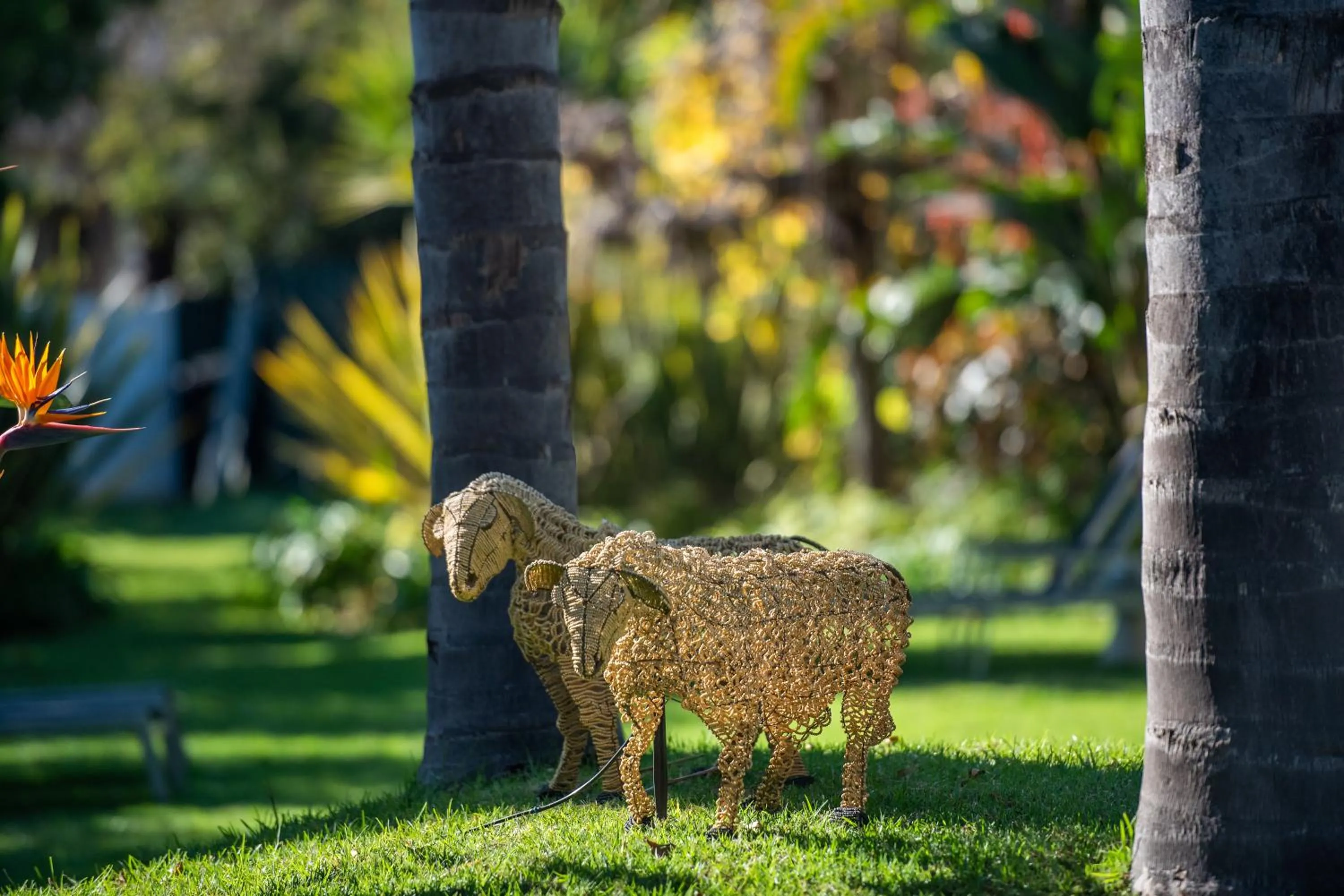 Garden view in Ballinderry, The Robertson Guest House