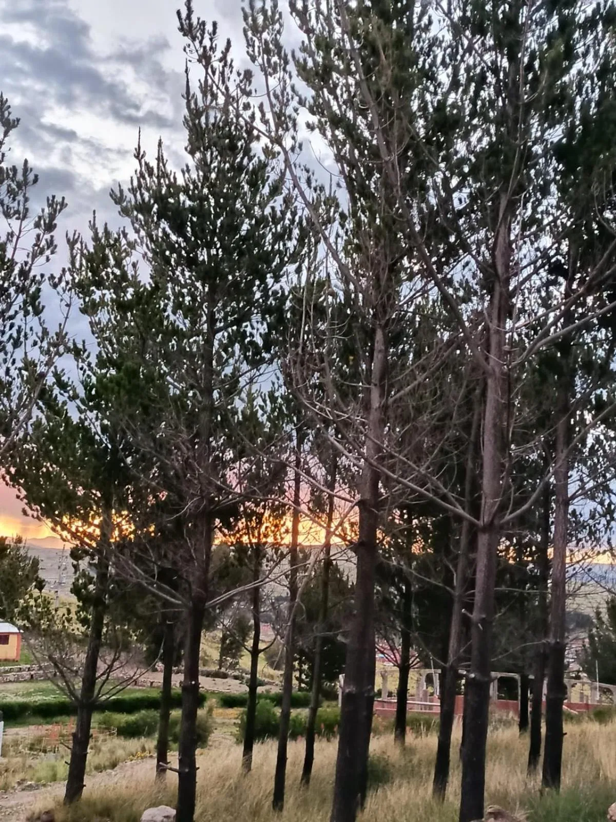 Natural landscape in Mirador del Titikaka