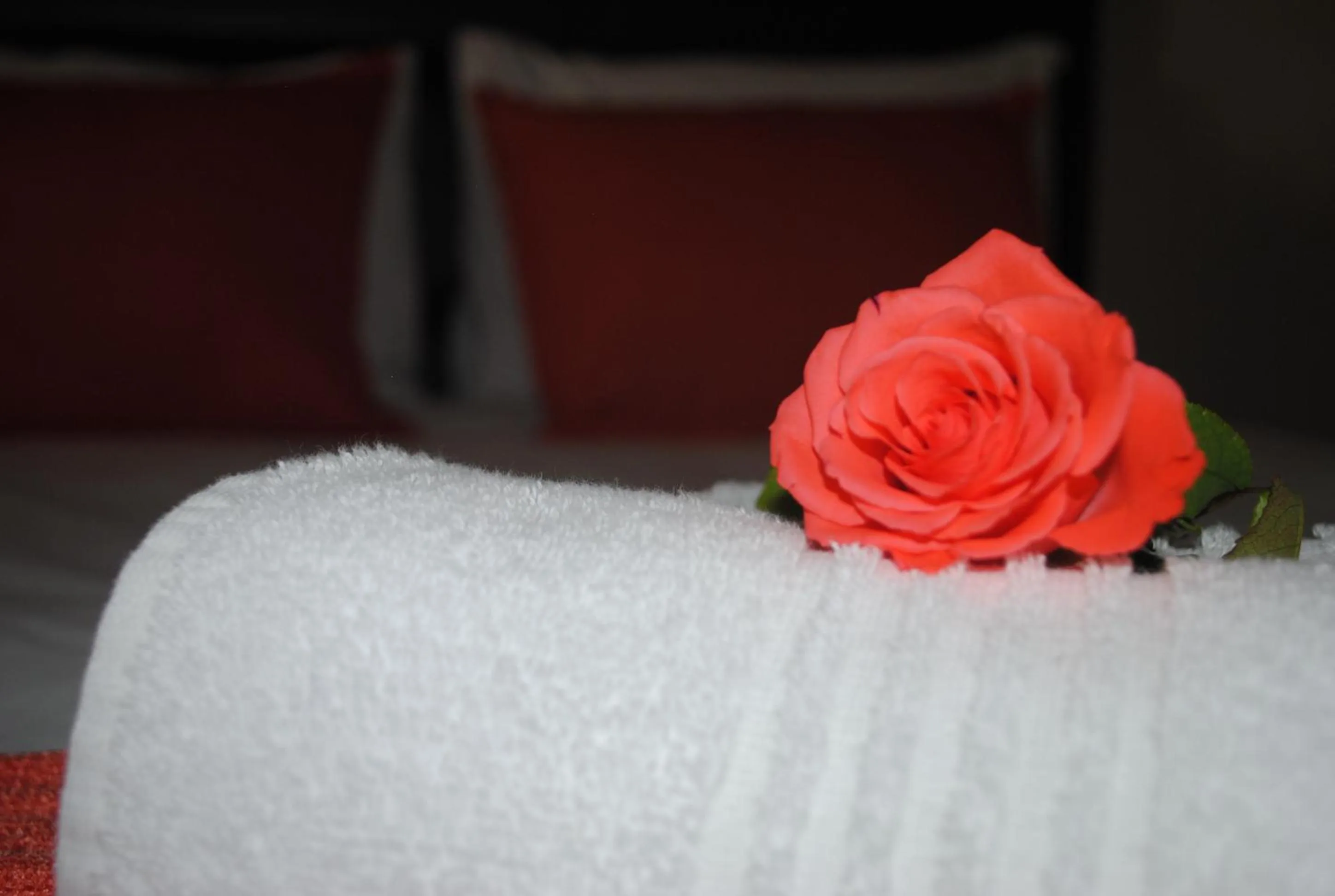 Decorative detail in 6 on Morris Guest Lodge