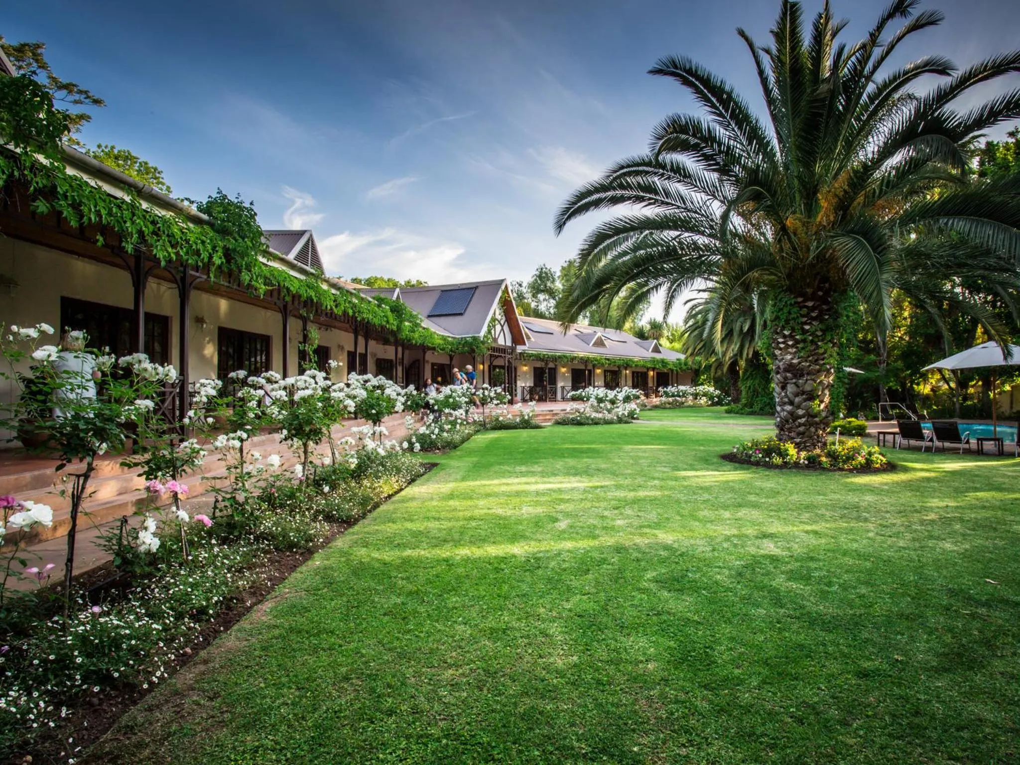 Garden in Hlangana Lodge