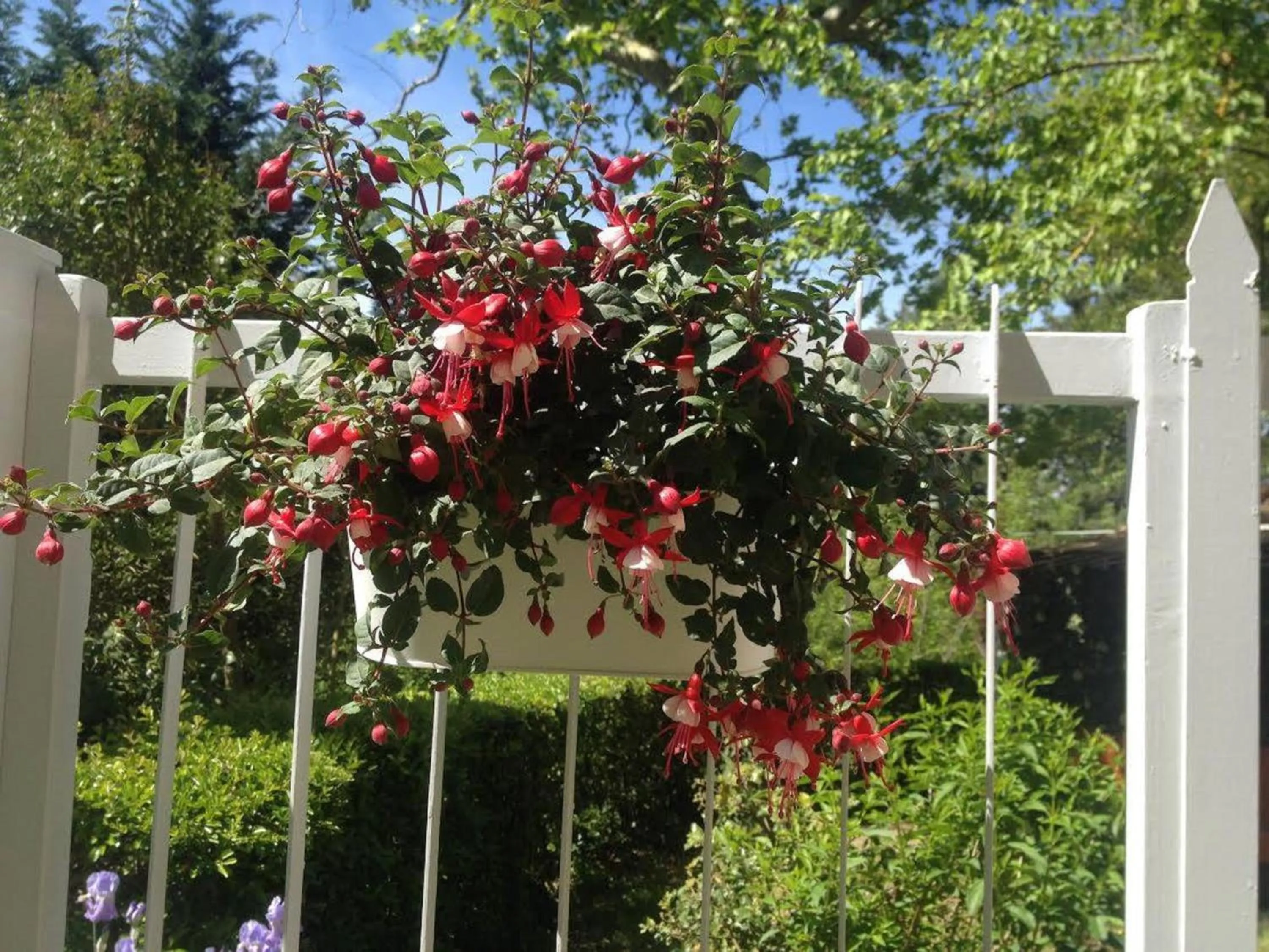 Decorative detail in La Coroncina Lodging