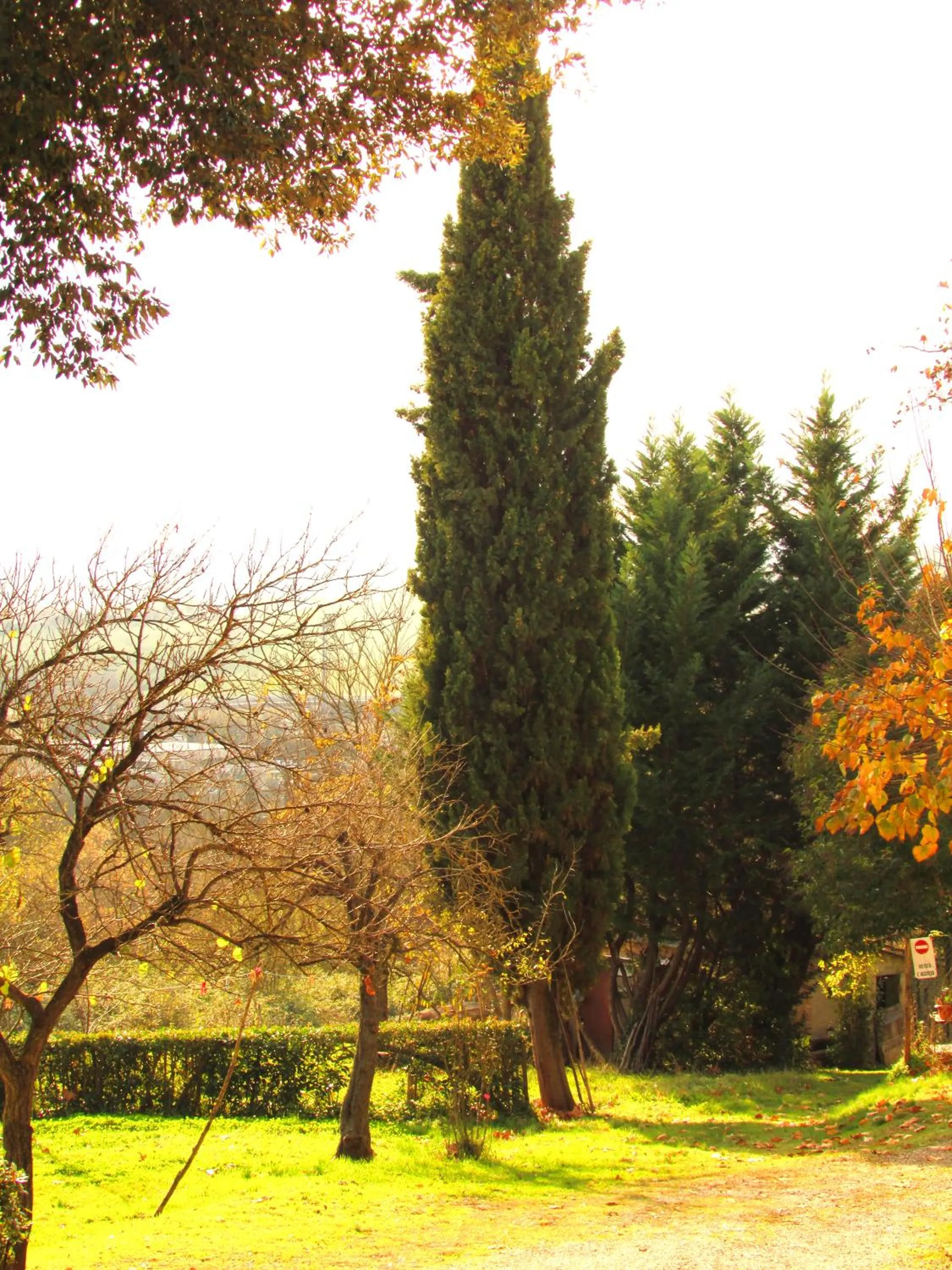 Neighbourhood in La Coroncina Lodging